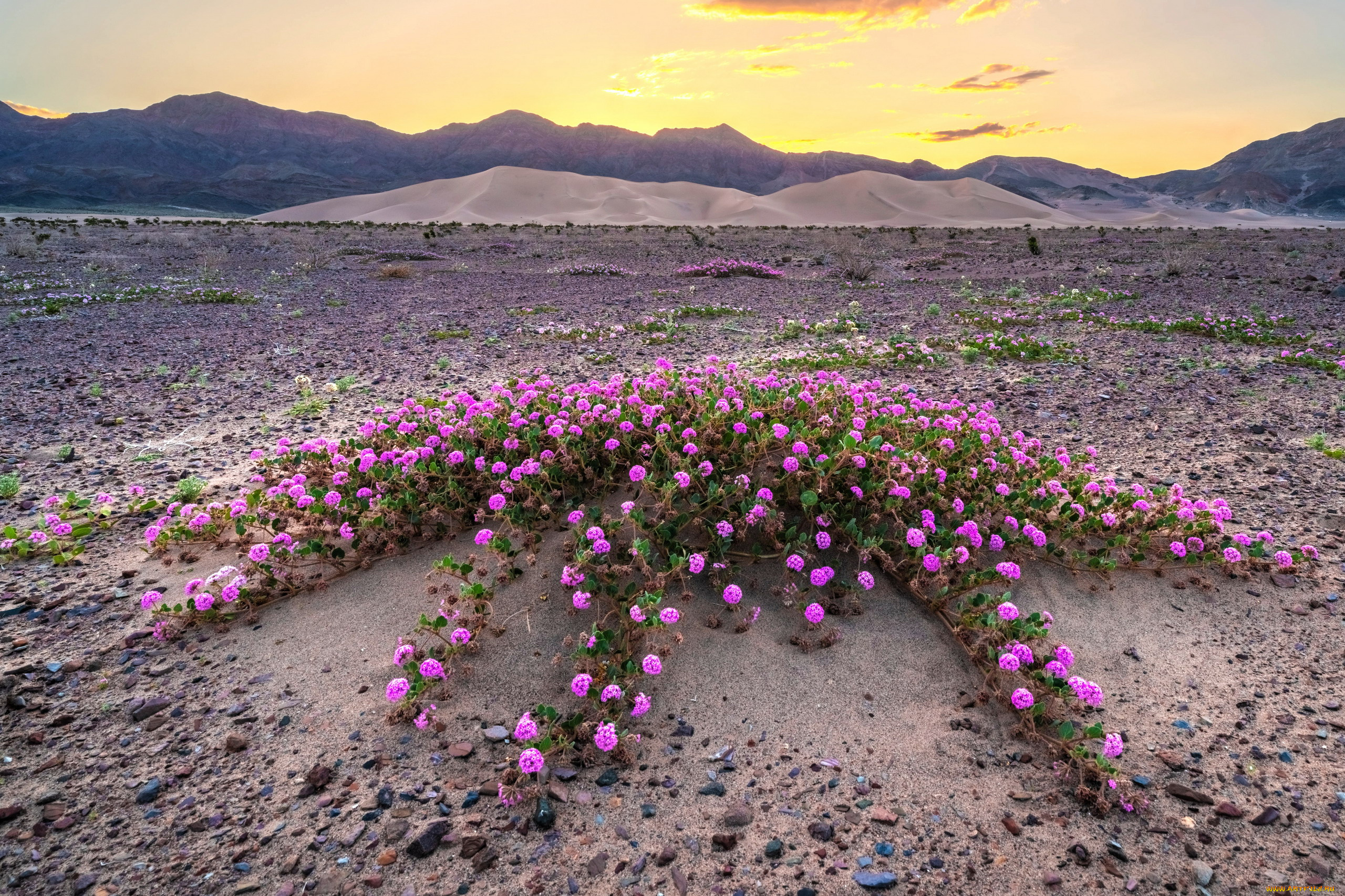 death, valley, california, природа, пустыни, death, valley