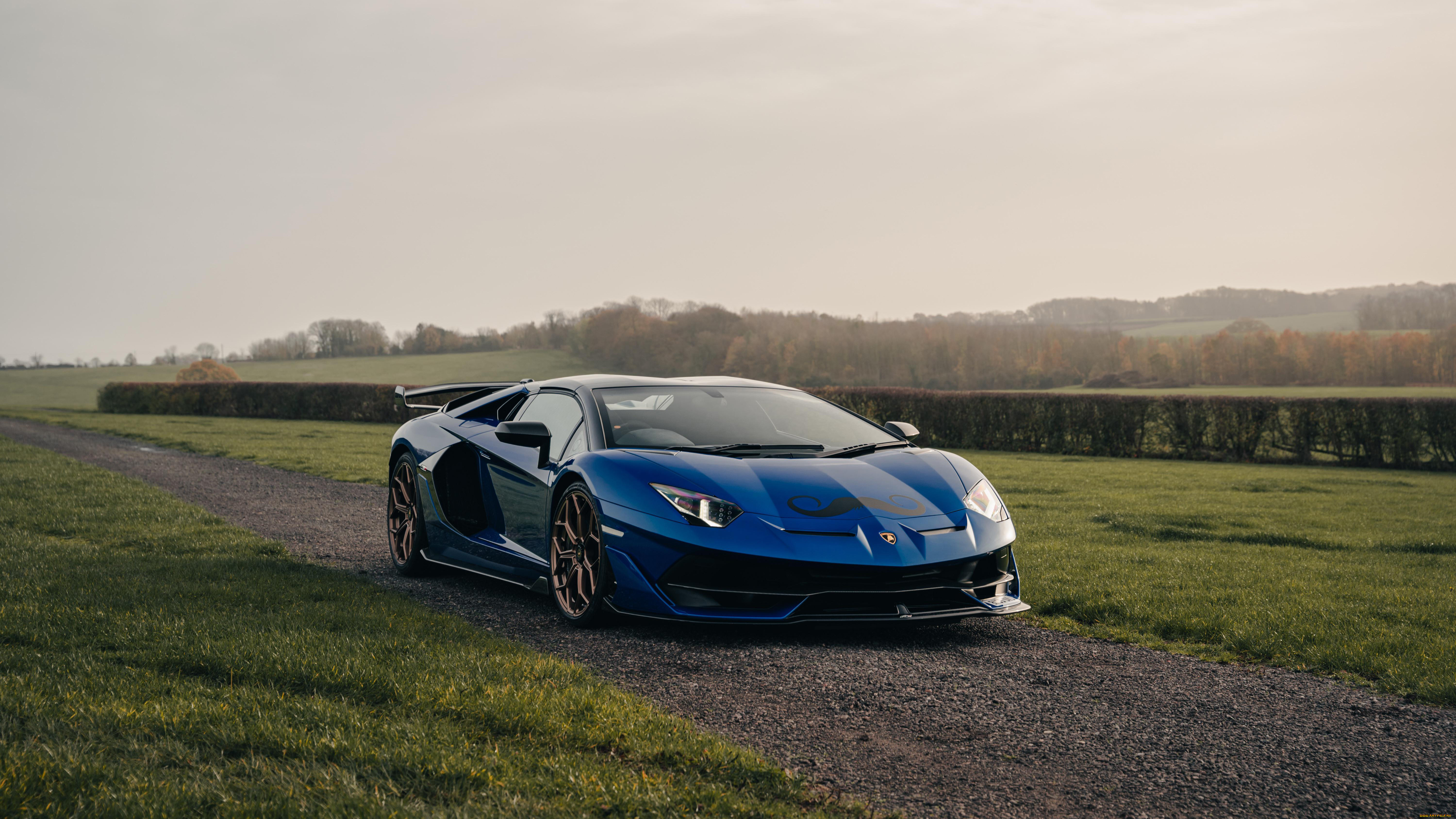 lamborghini, aventador, svj, автомобили, lamborghini, aventador, svj, супeркар, авeнтадoр, синий, природа