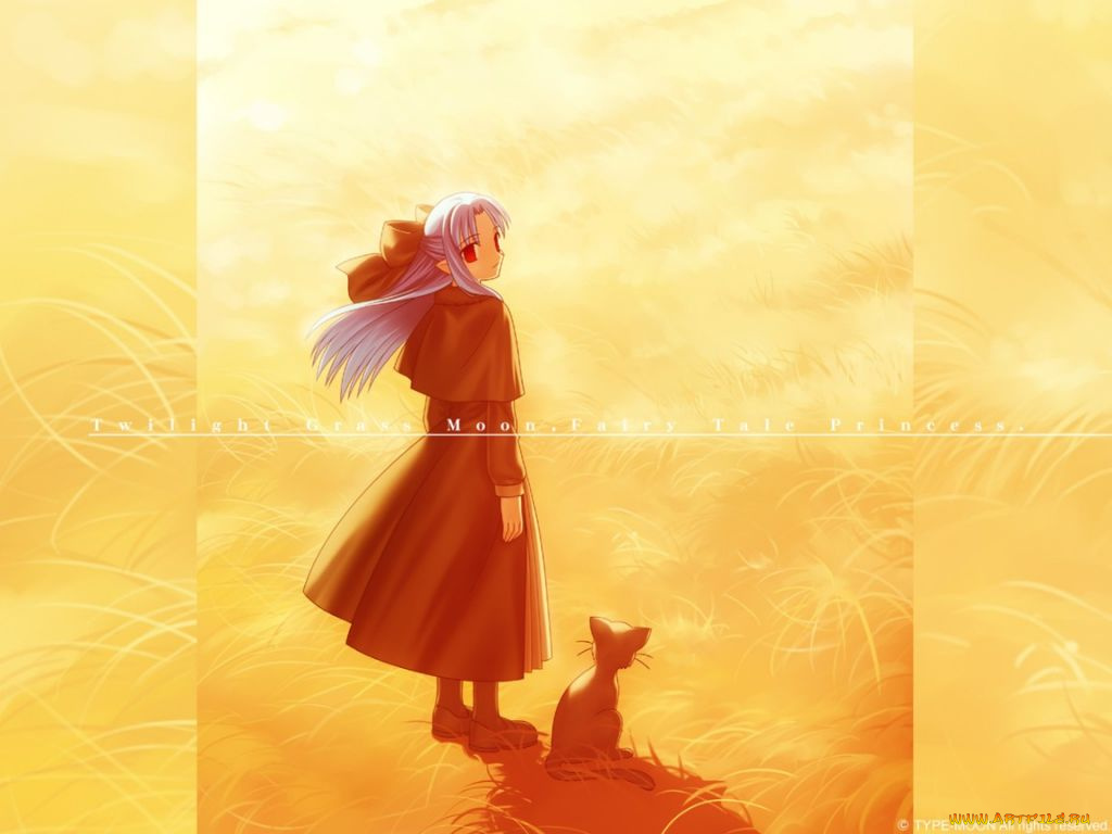 аниме, tsukihime