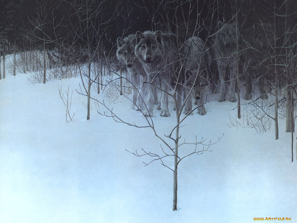 рисованные, животные, волки