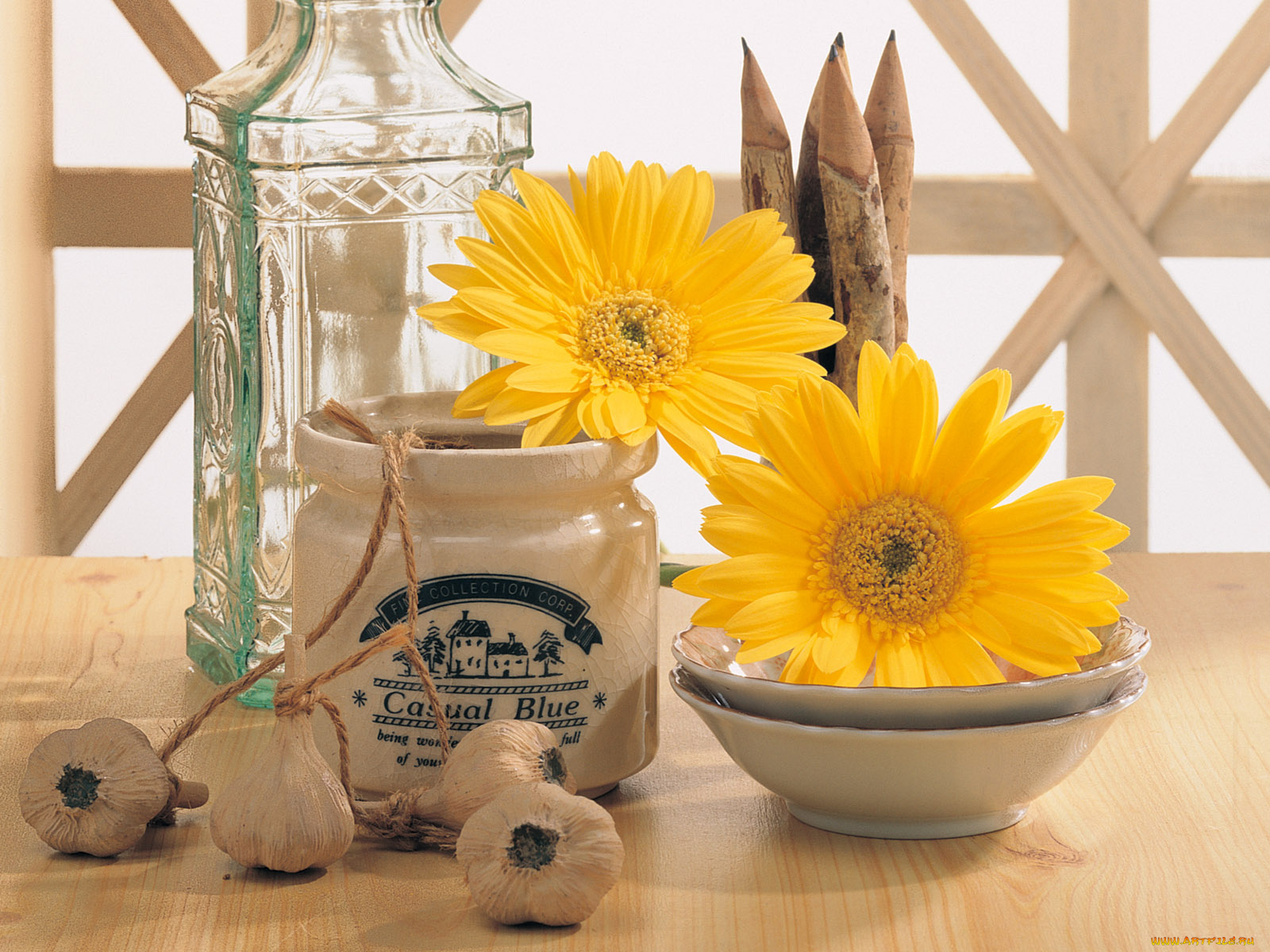 цветы, герберы