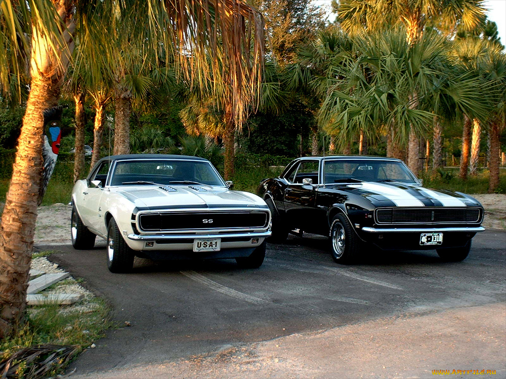 автомобили, camaro