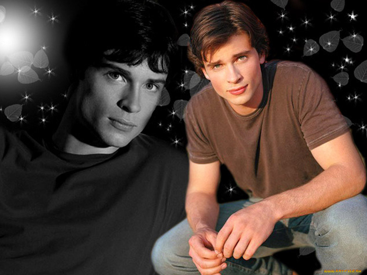 tom, welling, мужчины