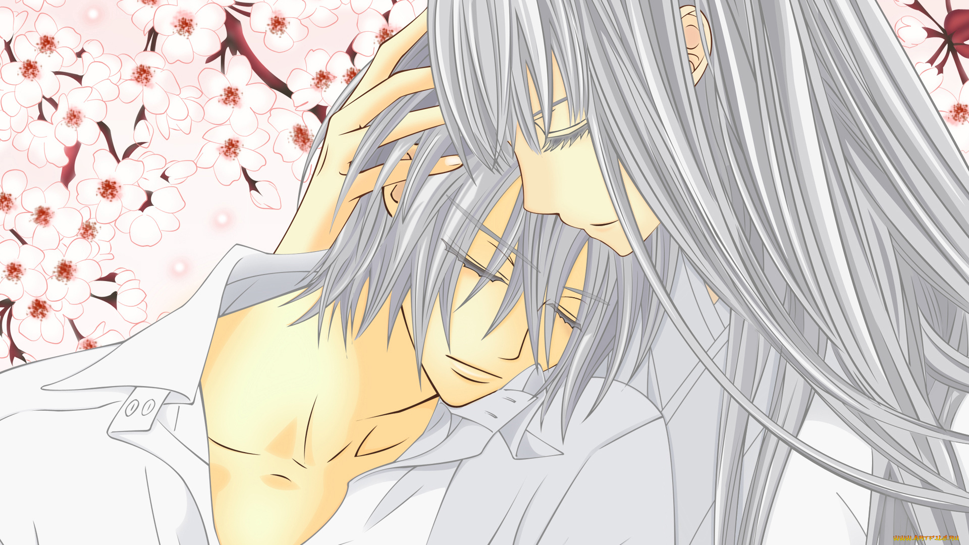 аниме, vampire, knight, kiryu, ichiru, hiou, shizuka, девушка, мужчина, деревья, сакура, цветы, ветки, кимоно, рубашка