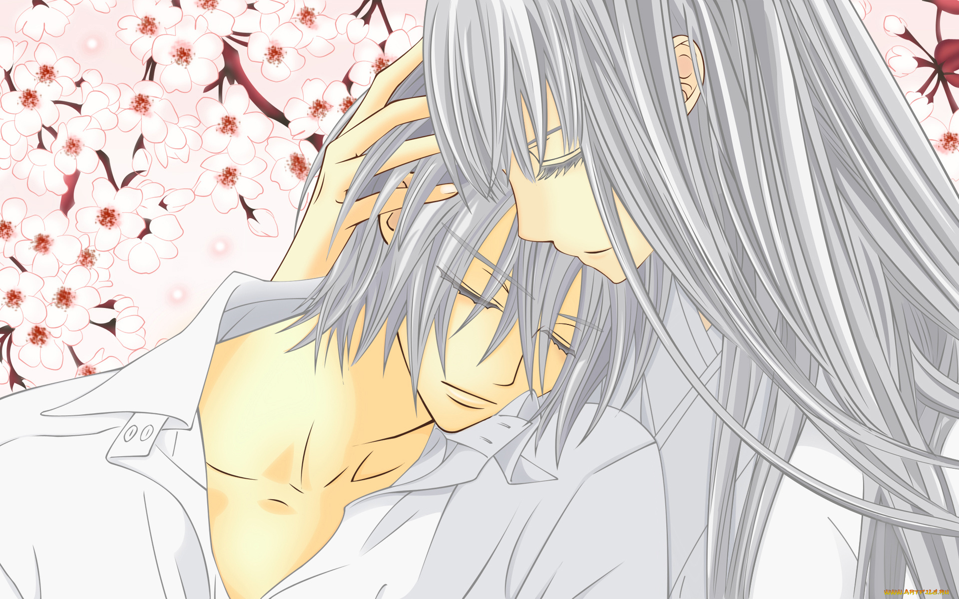 аниме, vampire, knight, kiryu, ichiru, hiou, shizuka, девушка, мужчина, деревья, сакура, цветы, ветки, кимоно, рубашка