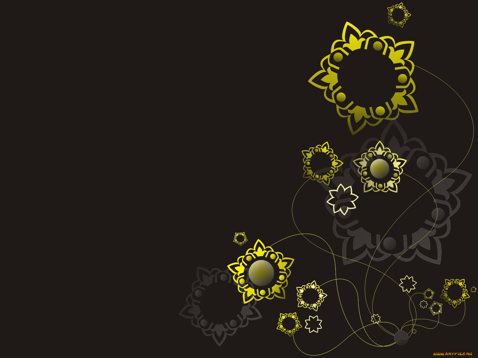 векторная, графика, цветы, круги