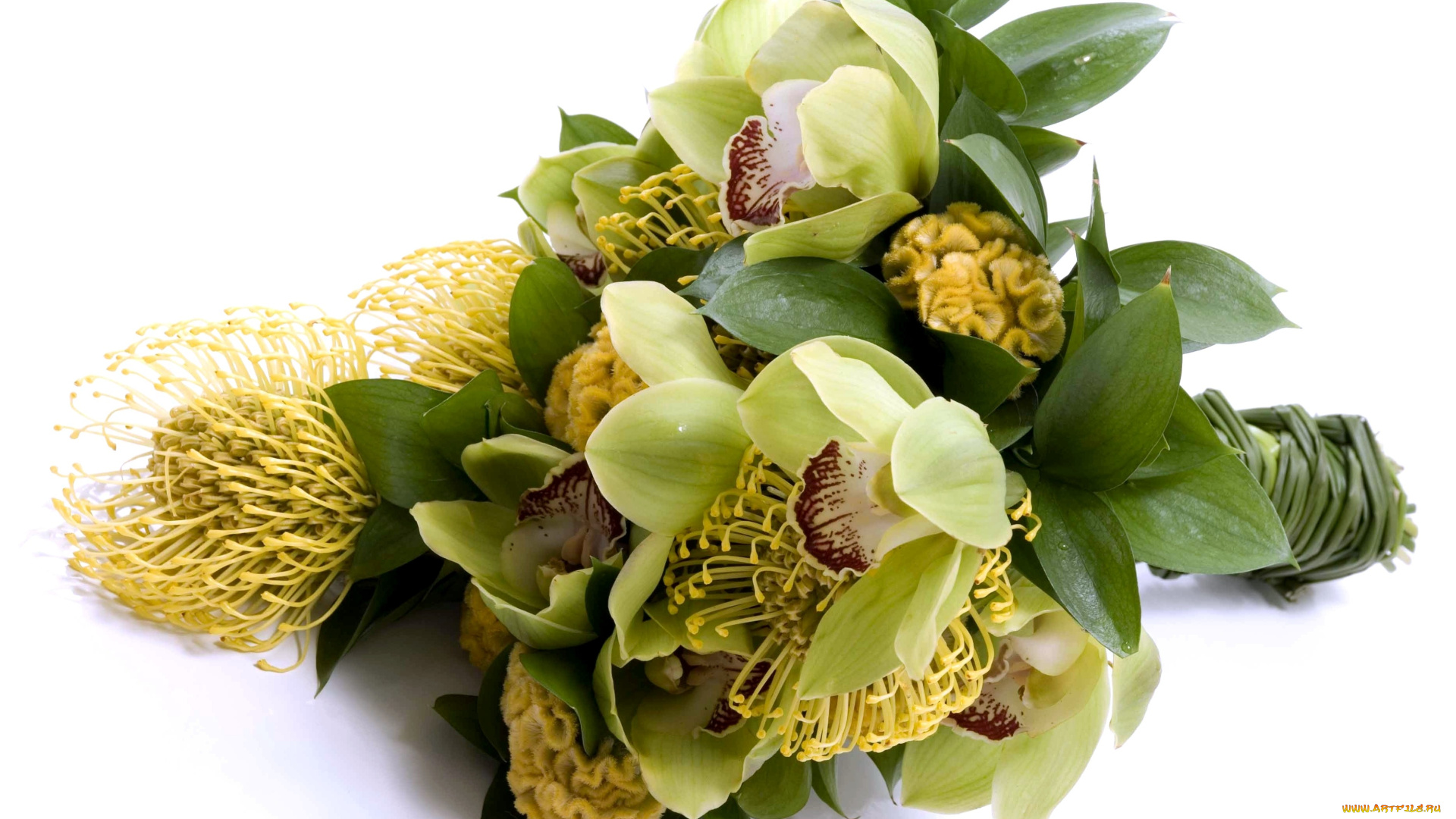 цветы, букеты, композиции, зеленый, орхидеи, желтый