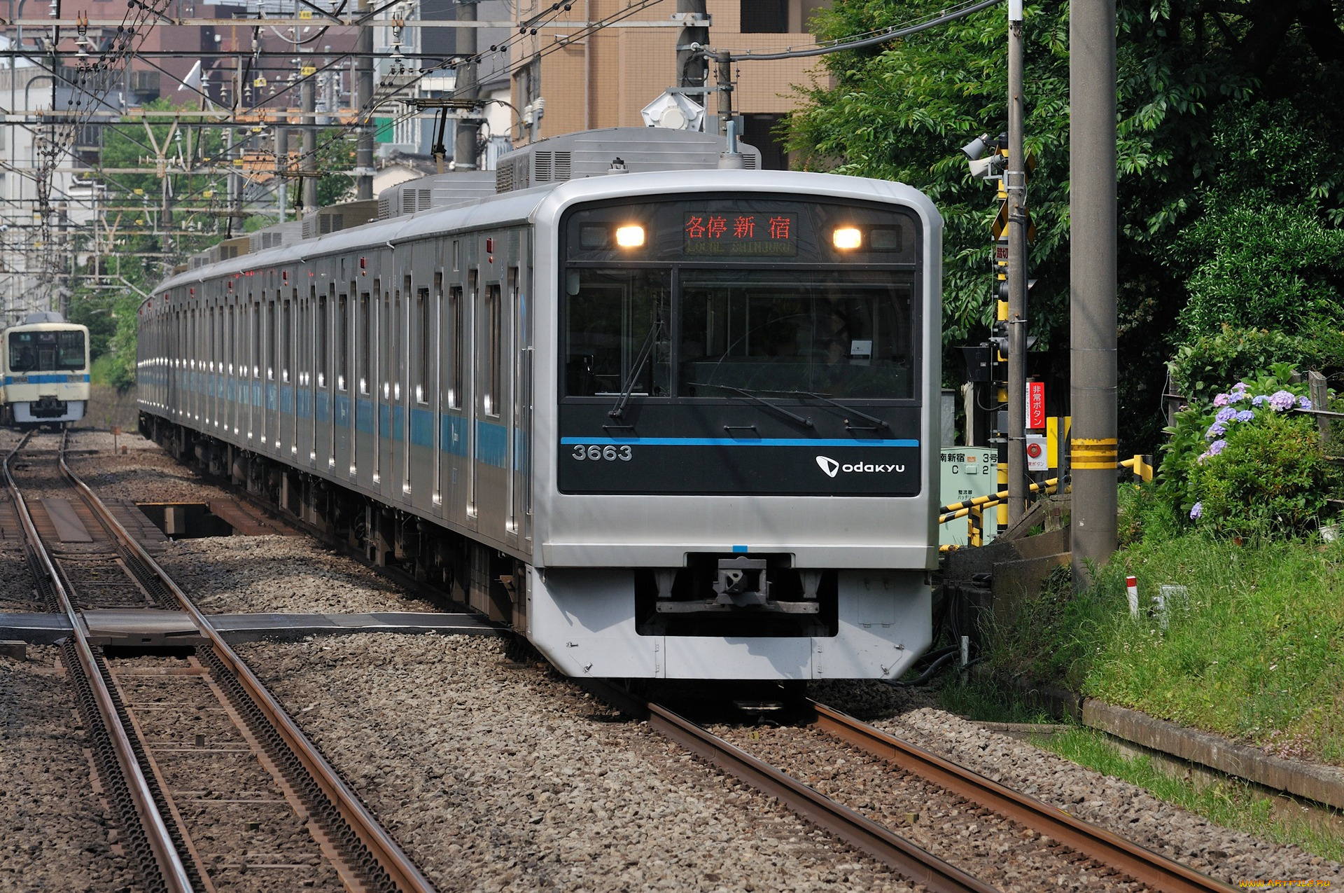 техника, электрички, железная, дорога, электричка