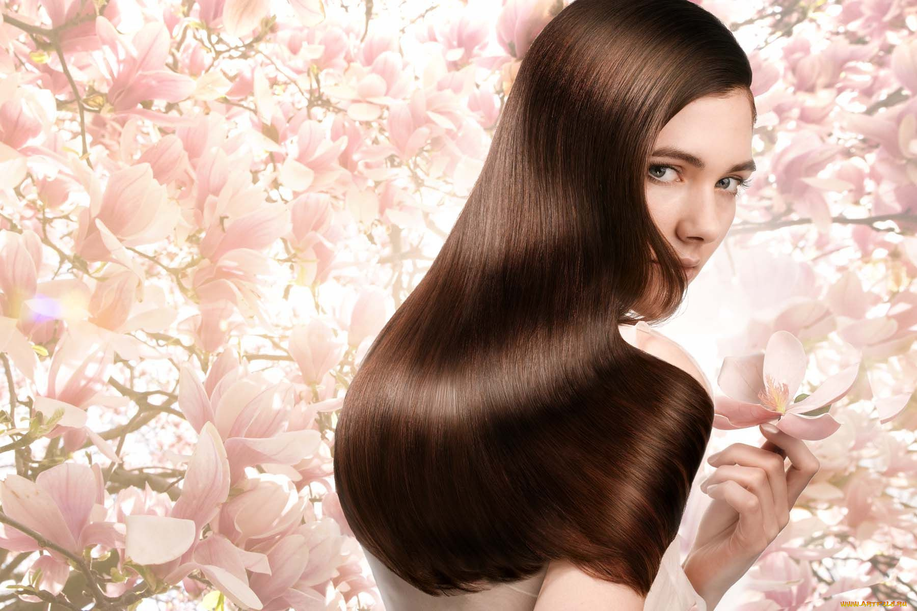 -Unsort, Брюнетки, Шатенки, девушки, unsort, брюнетки, шатенки, волосы, магнолия, меч