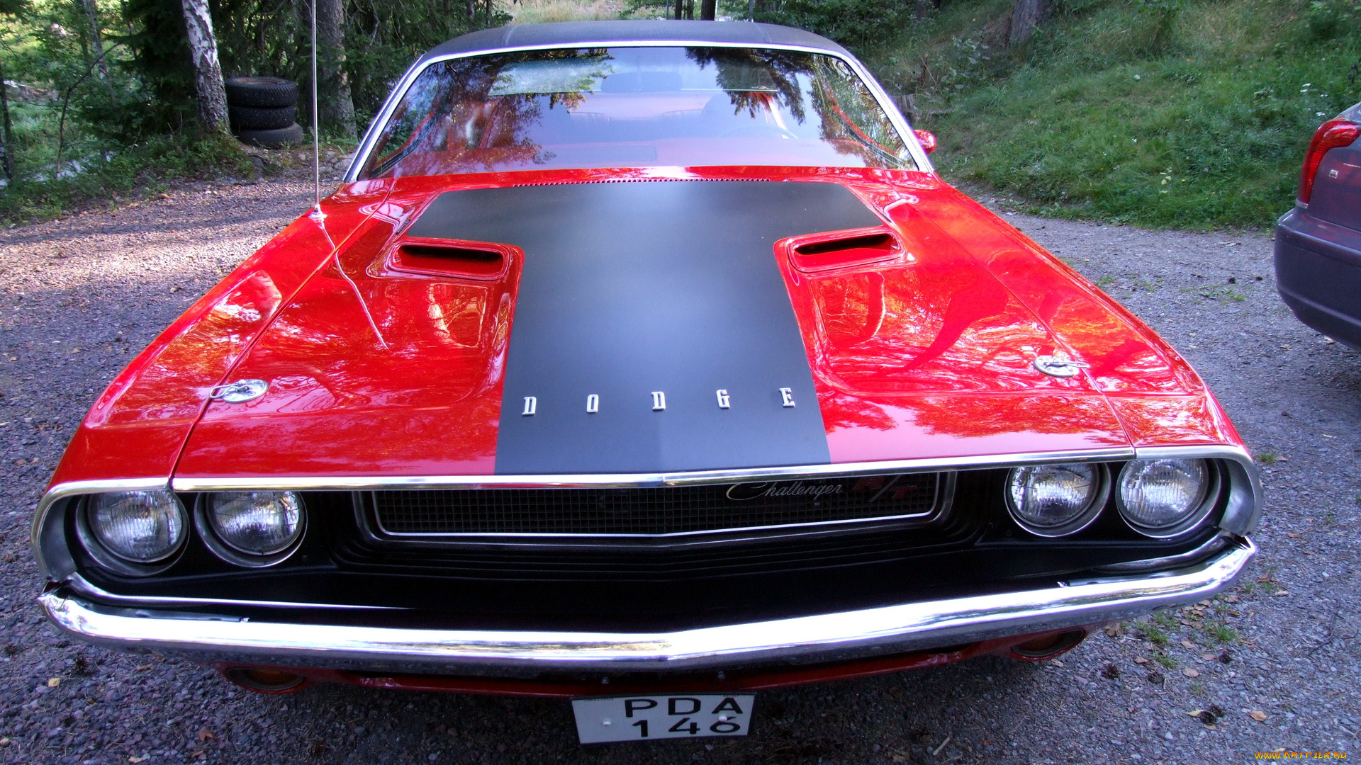 автомобили, выставки, уличные, фото, dodge, challenger