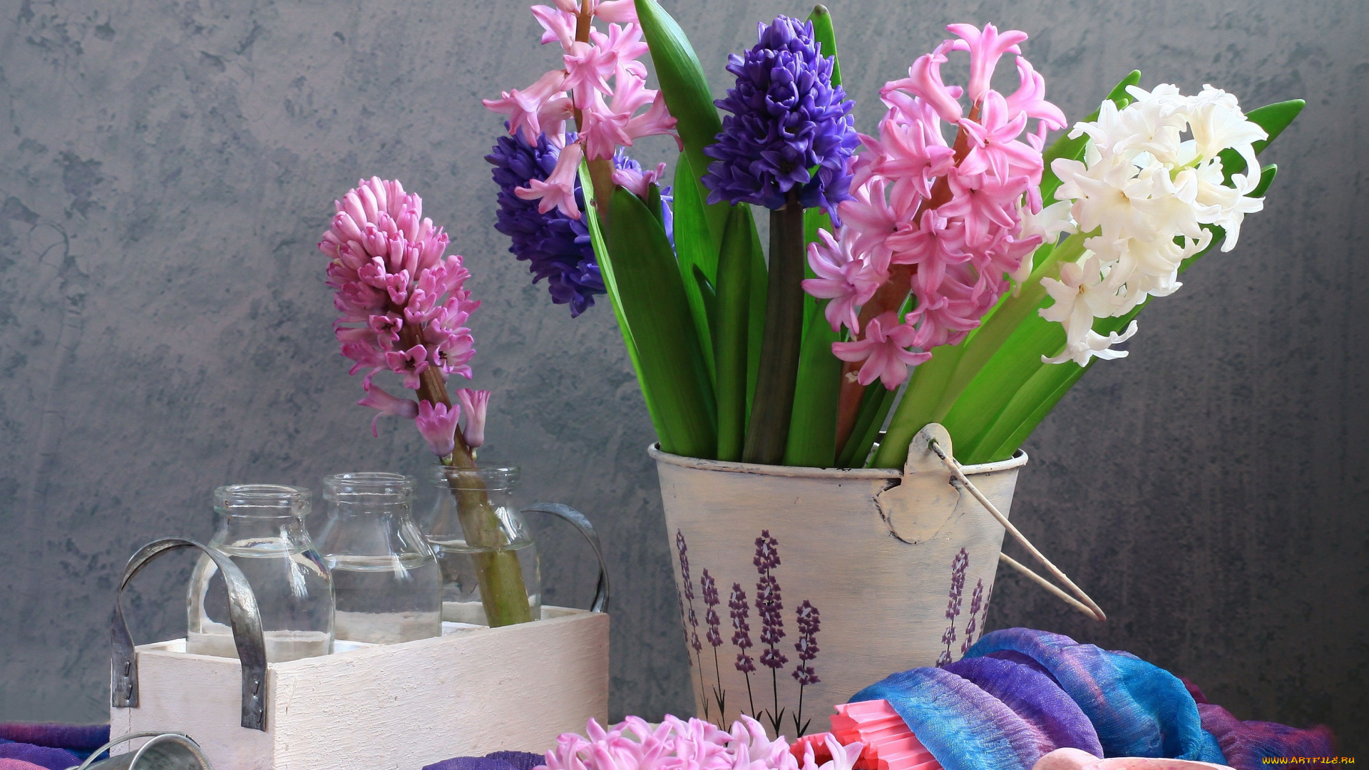цветы, гиацинты, ведерко