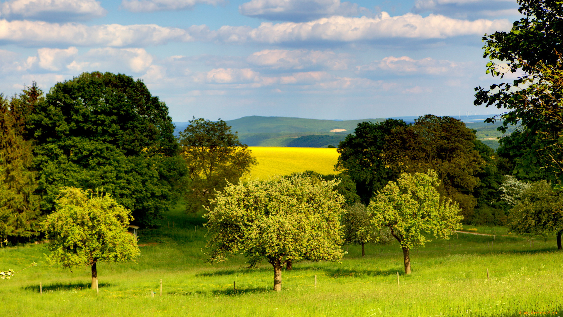 германия, клоттен, природа, деревья, поля