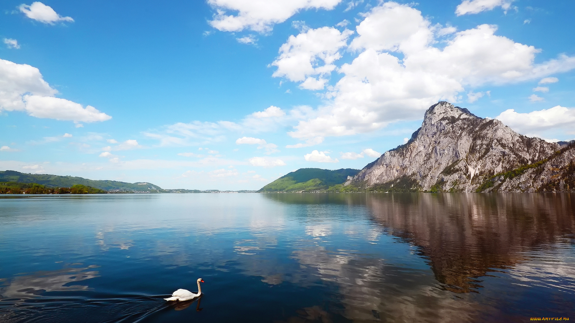 природа, реки, озера, озеро, горы, лебедь, пейзаж
