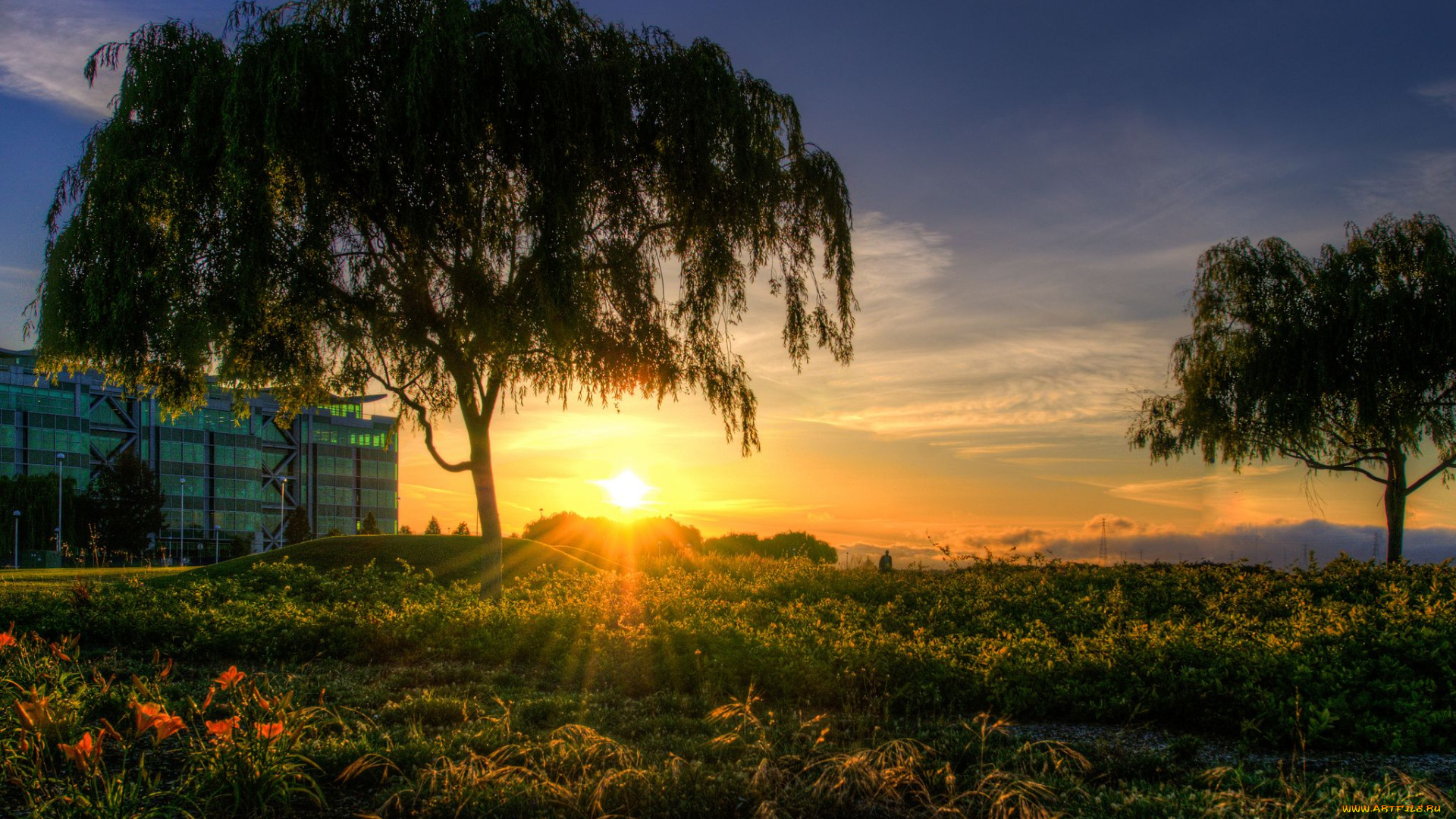 природа, восходы, закаты, деревья