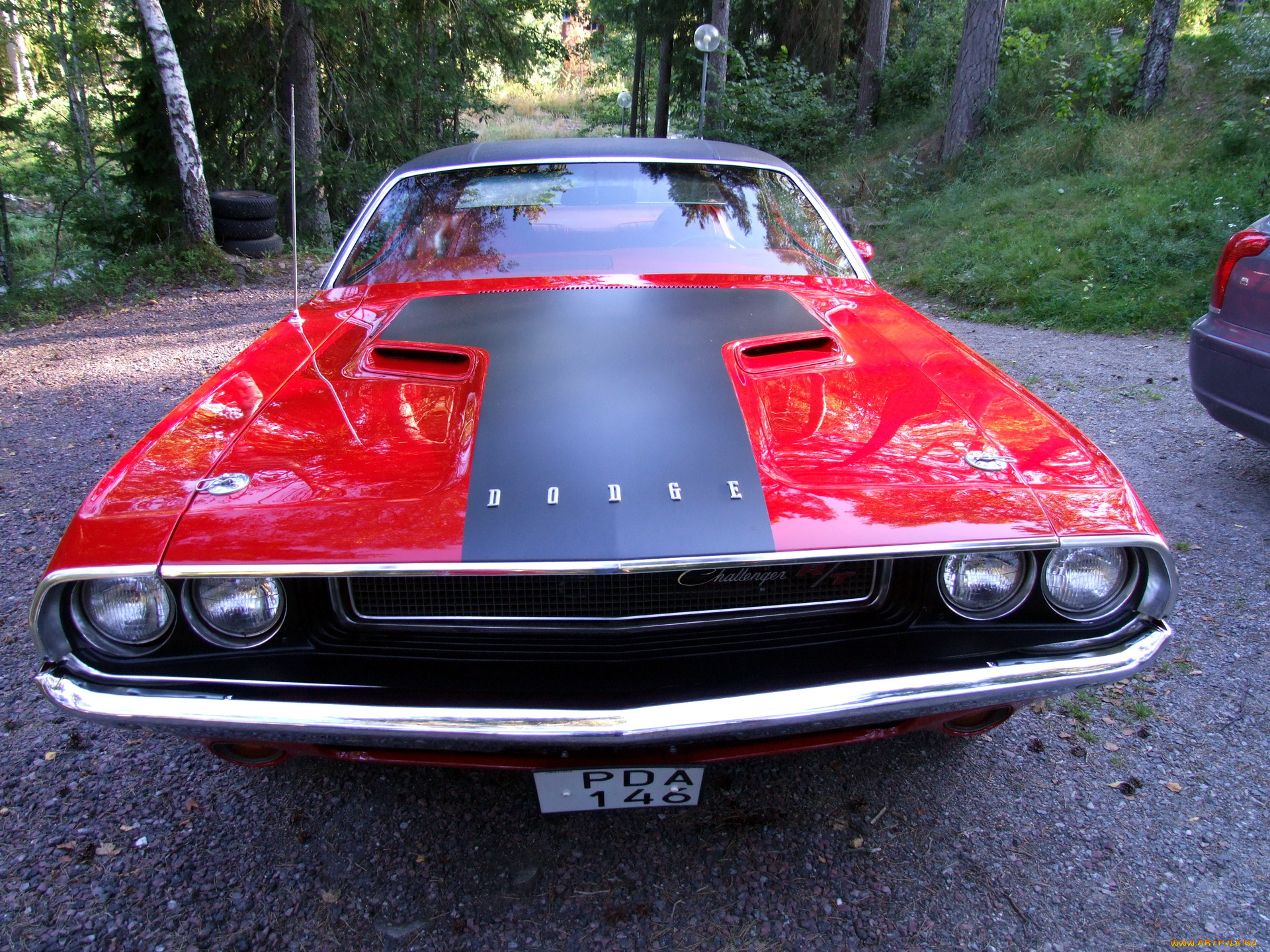 автомобили, выставки, уличные, фото, dodge, challenger