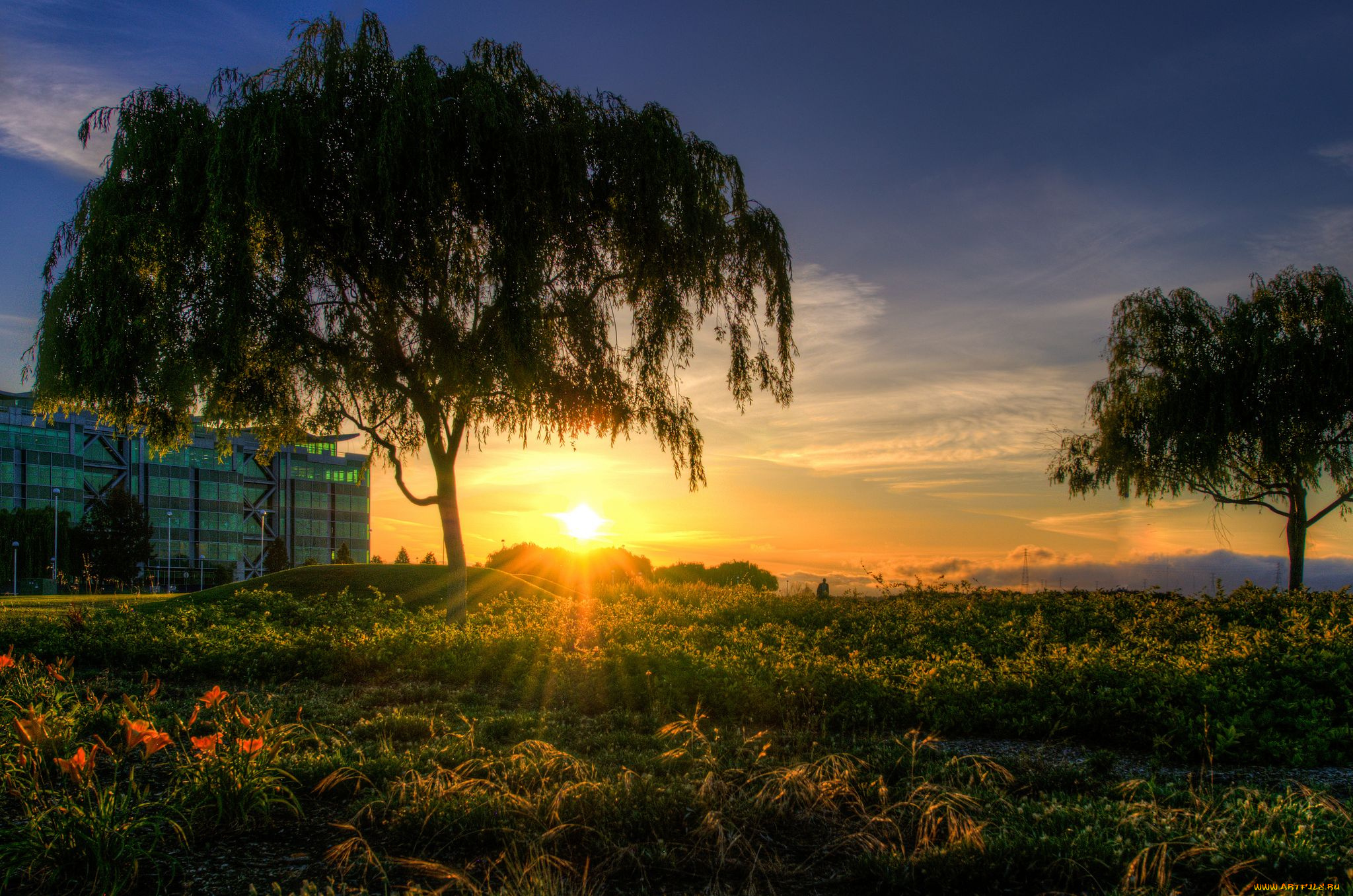 природа, восходы, закаты, деревья