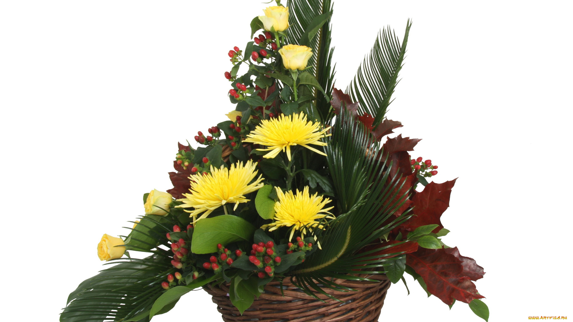 цветы, букеты, композиции, букет, хризантемы, корзина