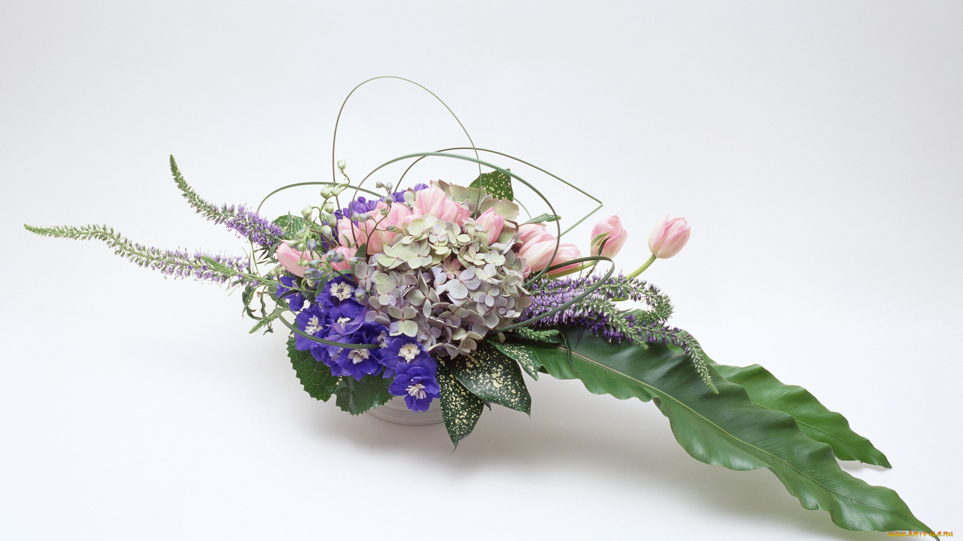 цветы, букеты, композиции, композия