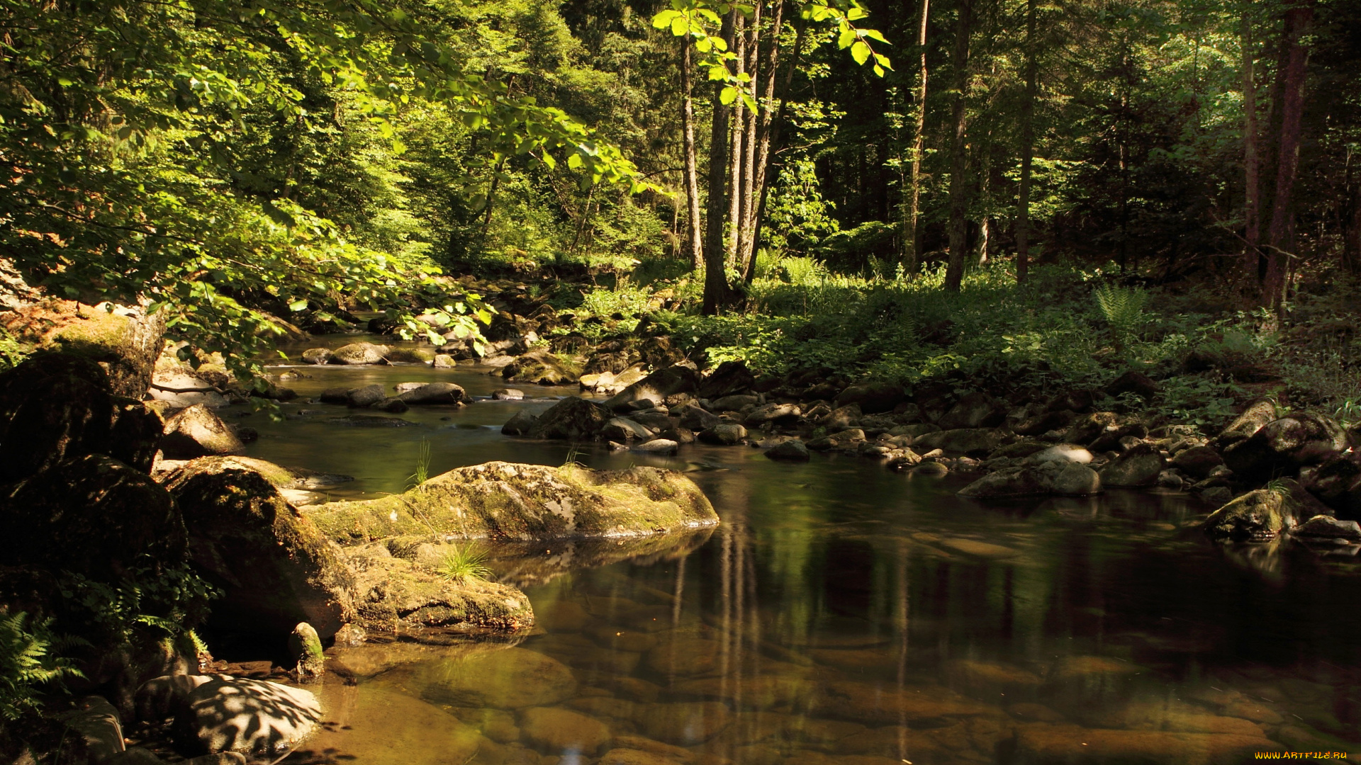 германия, бавария, природа, реки, озера, река, лес