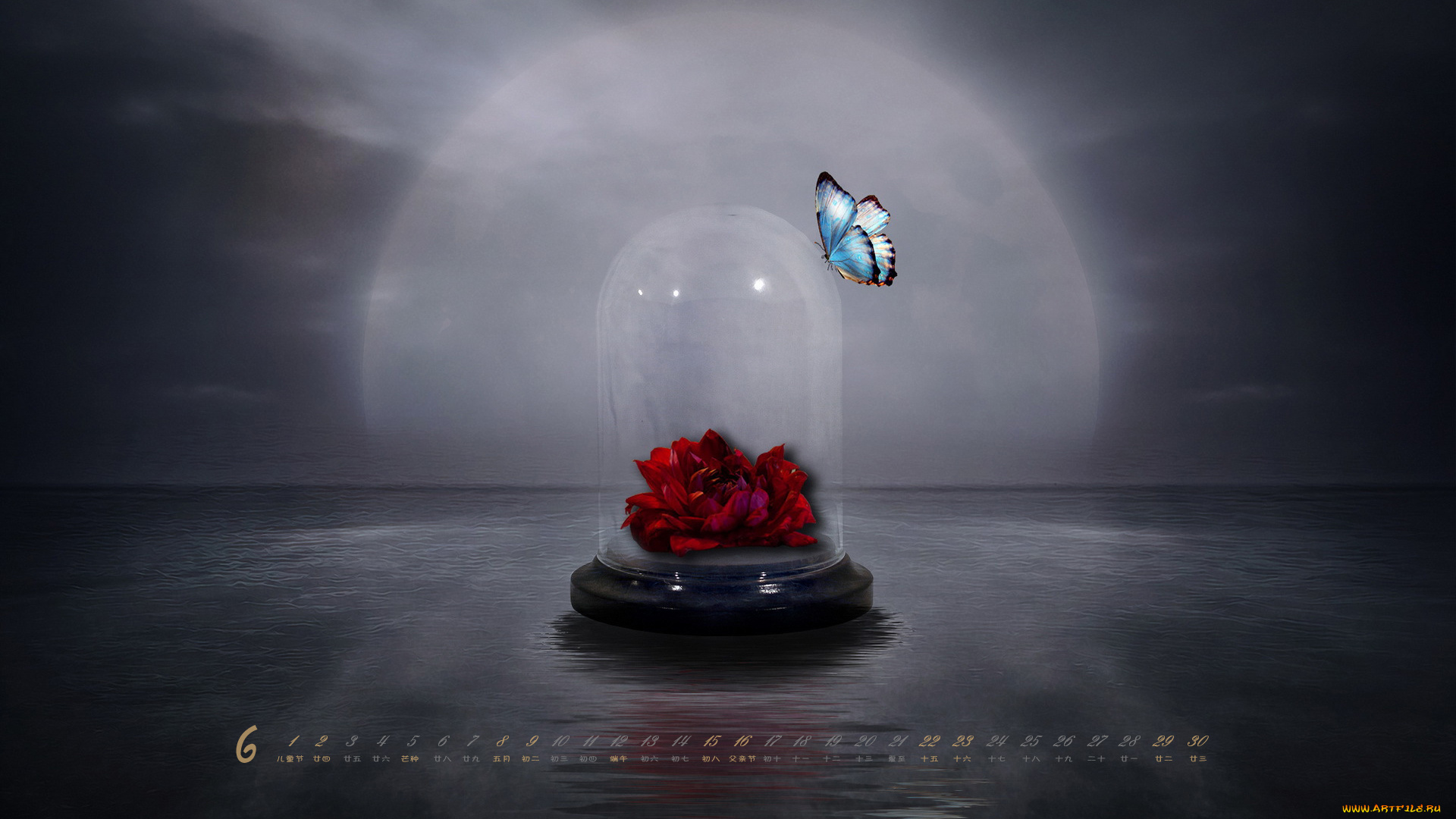 календари, компьютерный, дизайн, бабочка, колба, цветы