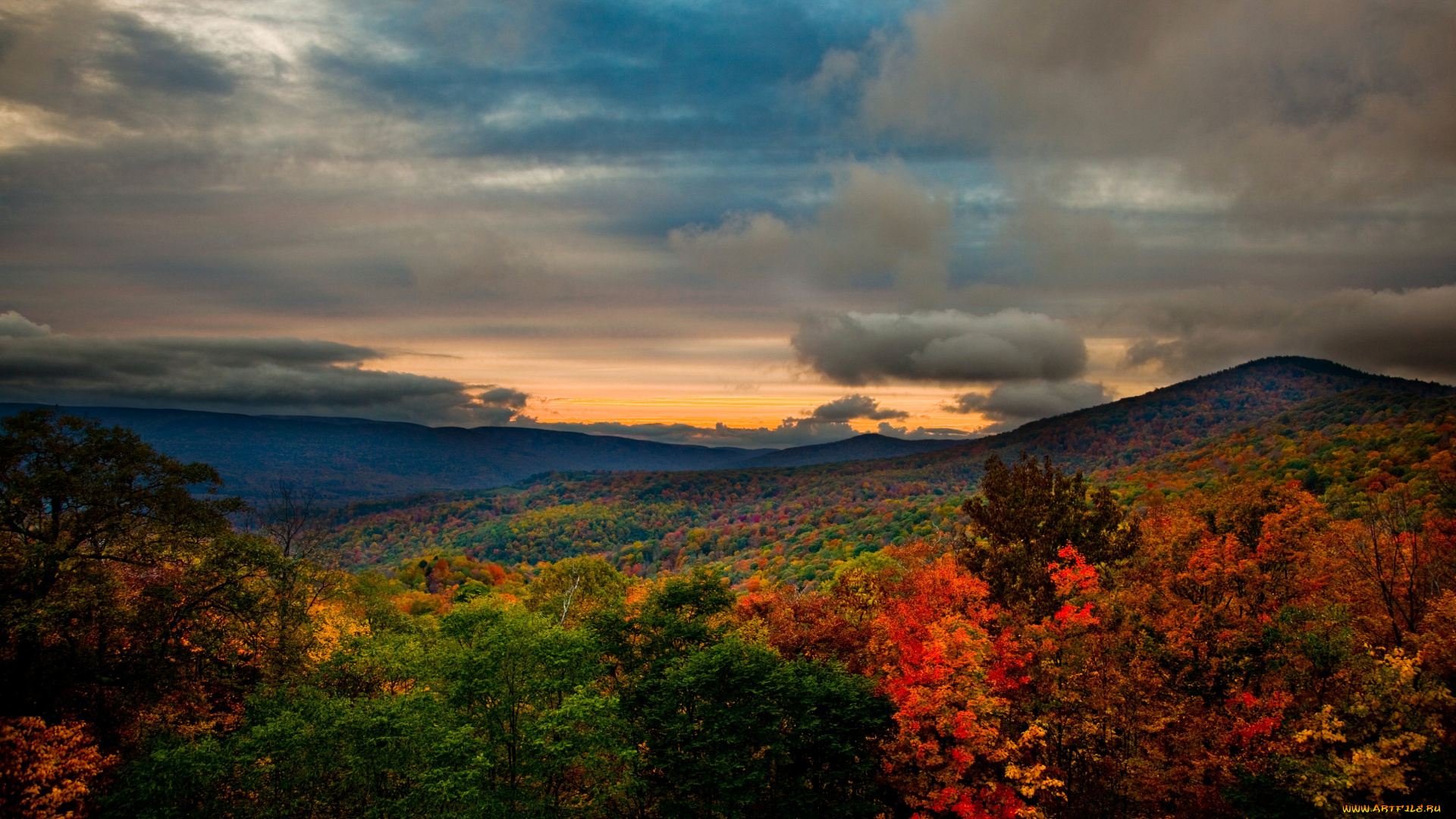 природа, лес, осень