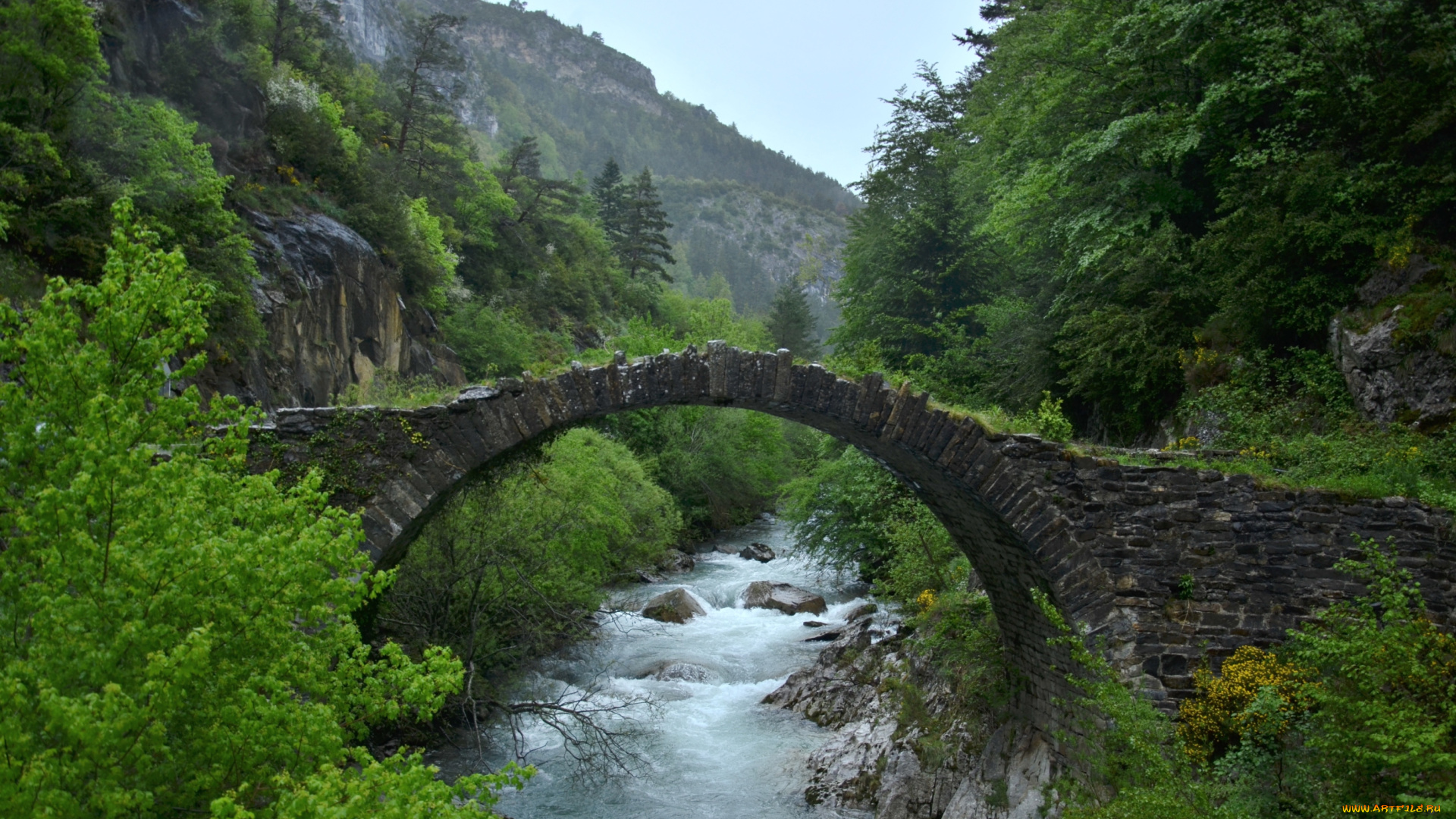 природа, реки, озера, поток, вода, мост, лес, зелень