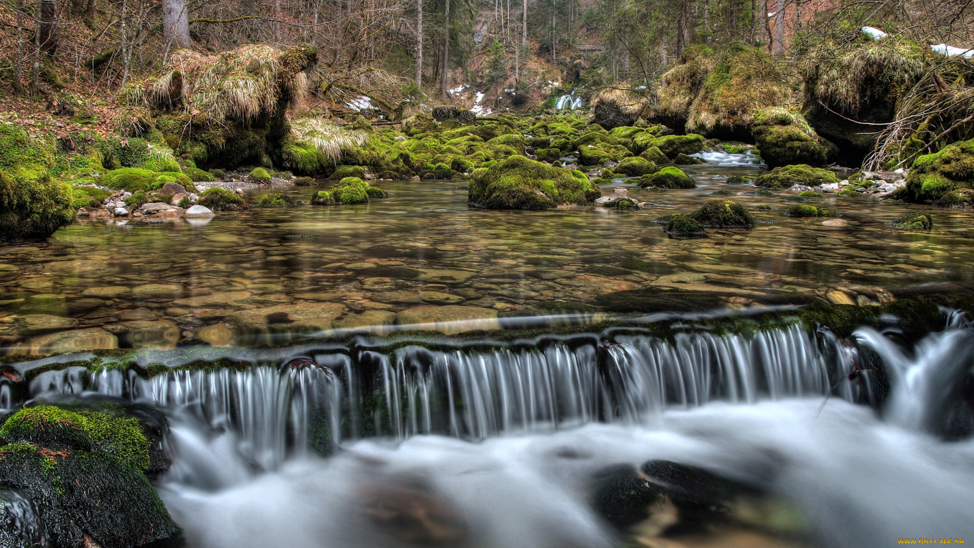 river, schwarzbach, austria, природа, реки, озера, река, пороги, лес