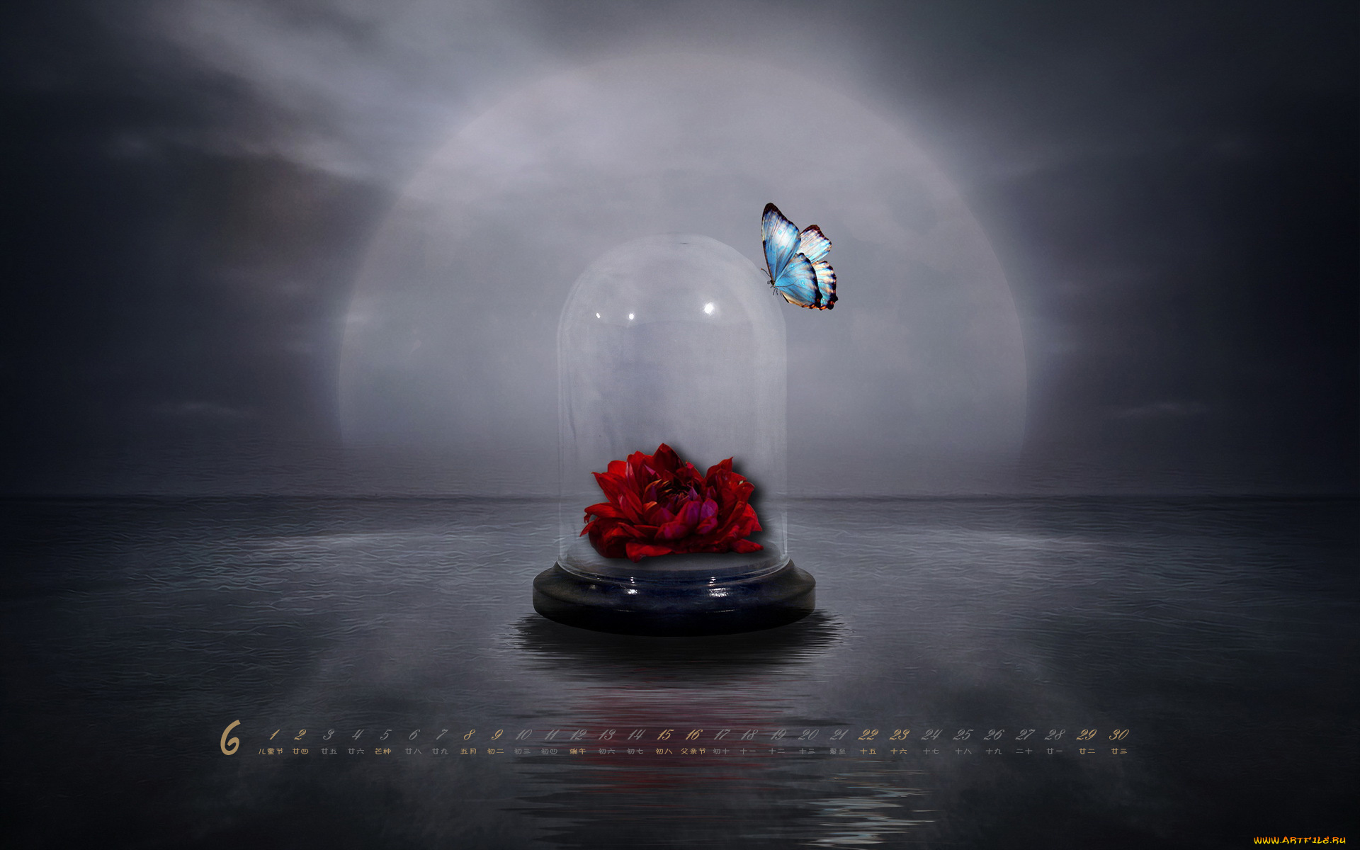 календари, компьютерный, дизайн, бабочка, колба, цветы