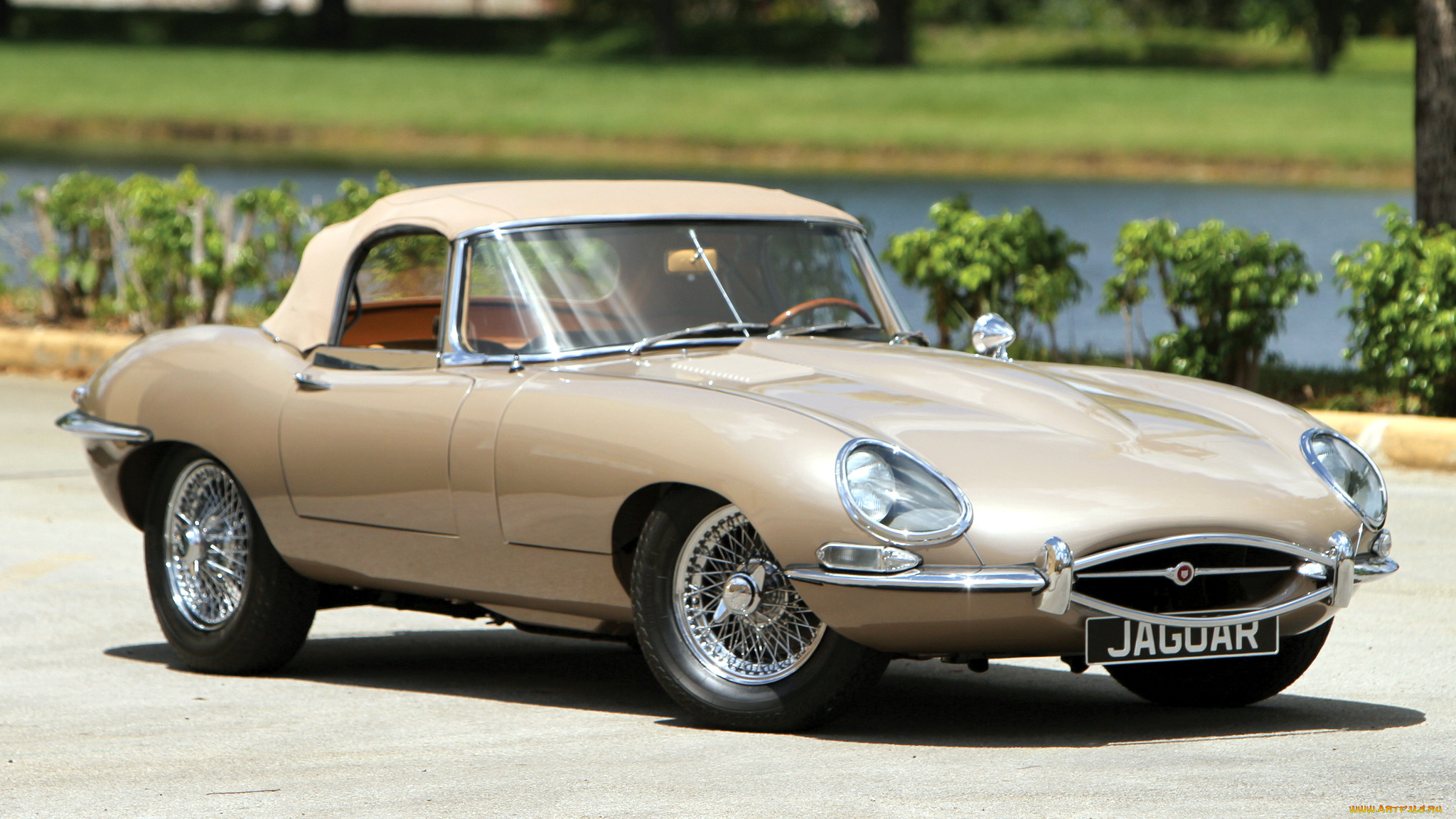 jaguar, type, автомобили, land, rover, ltd, великобритания