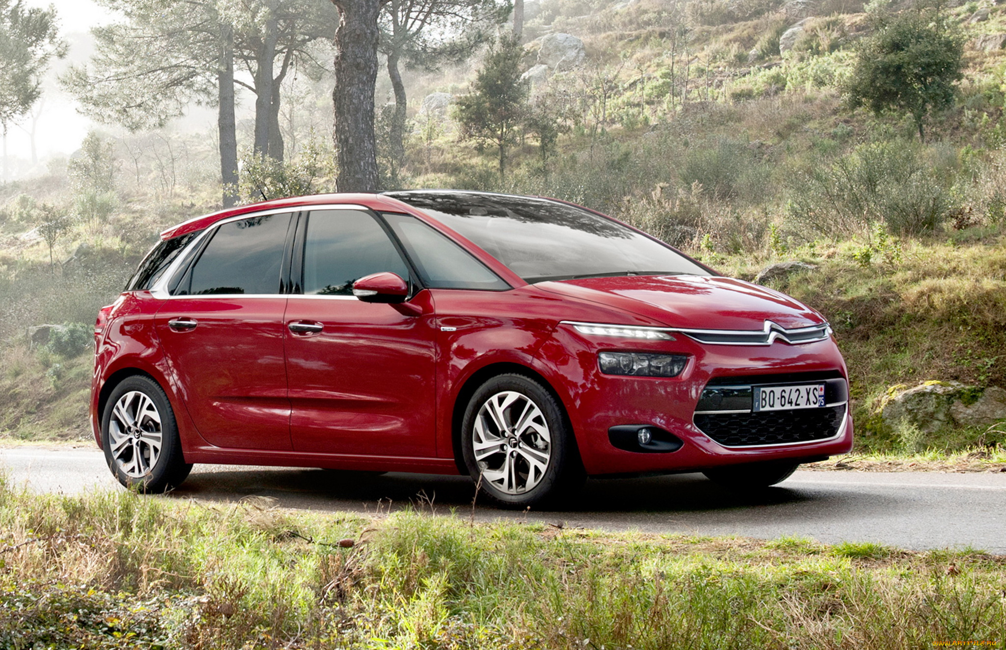 2013, citroen, c4, picasso, автомобили
