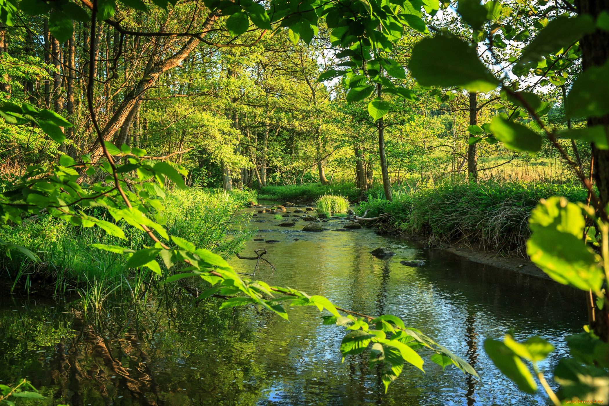 природа, реки, озера, вода, зелень
