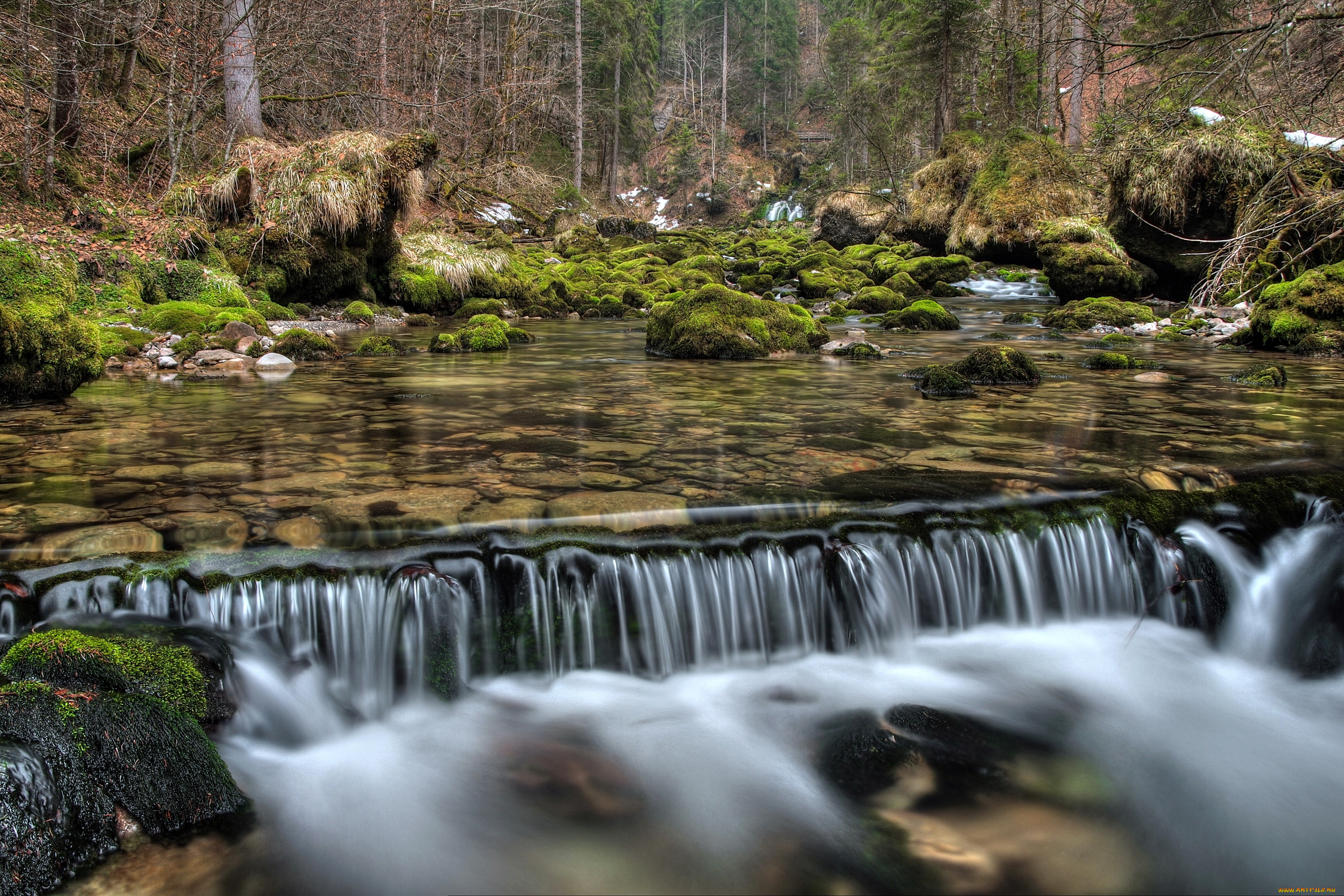 river, schwarzbach, austria, природа, реки, озера, река, пороги, лес