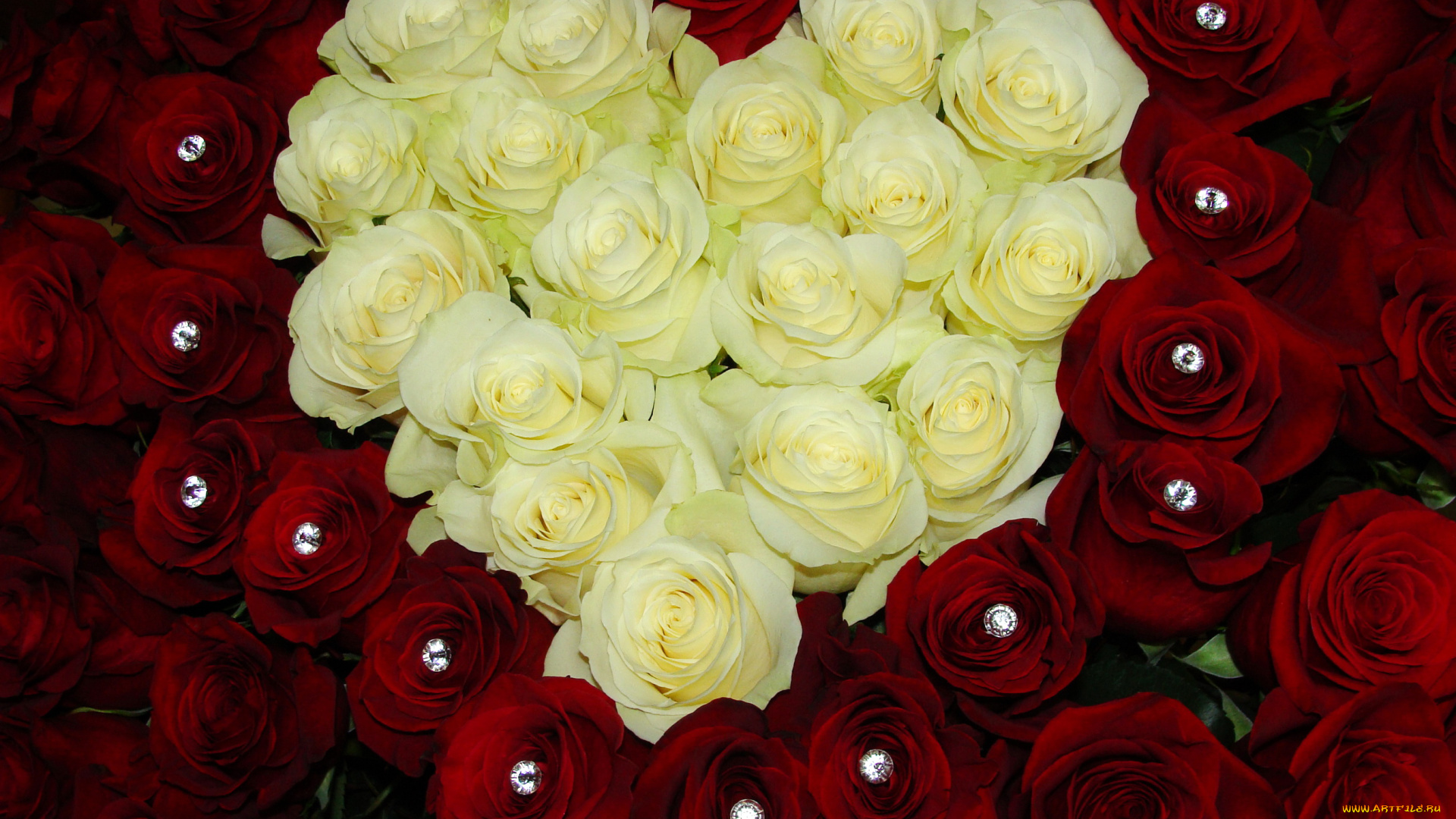 цветы, розы, сердце, композиция