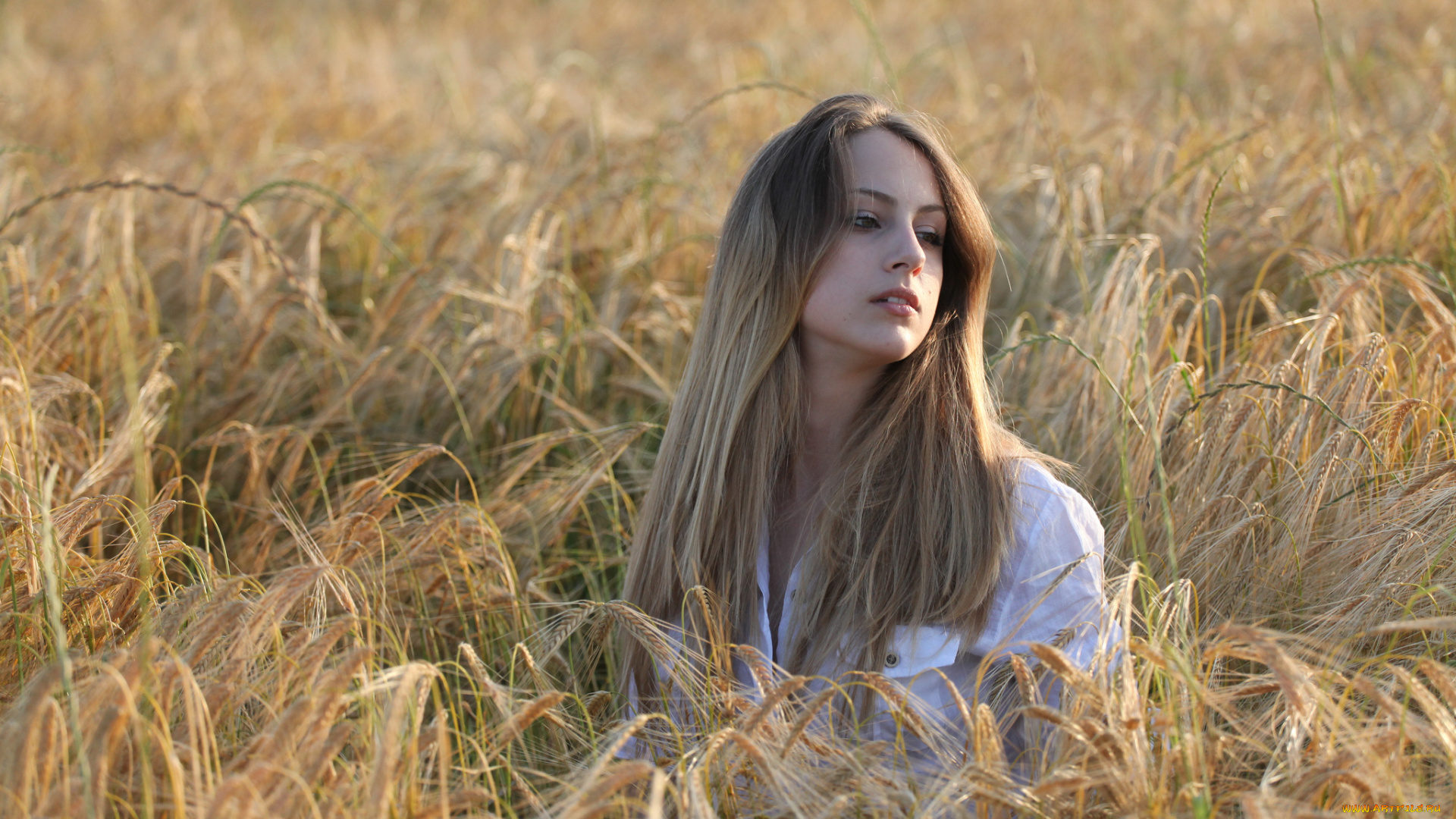 девушки, -unsort, , блондинки, поле, рожь, лицо