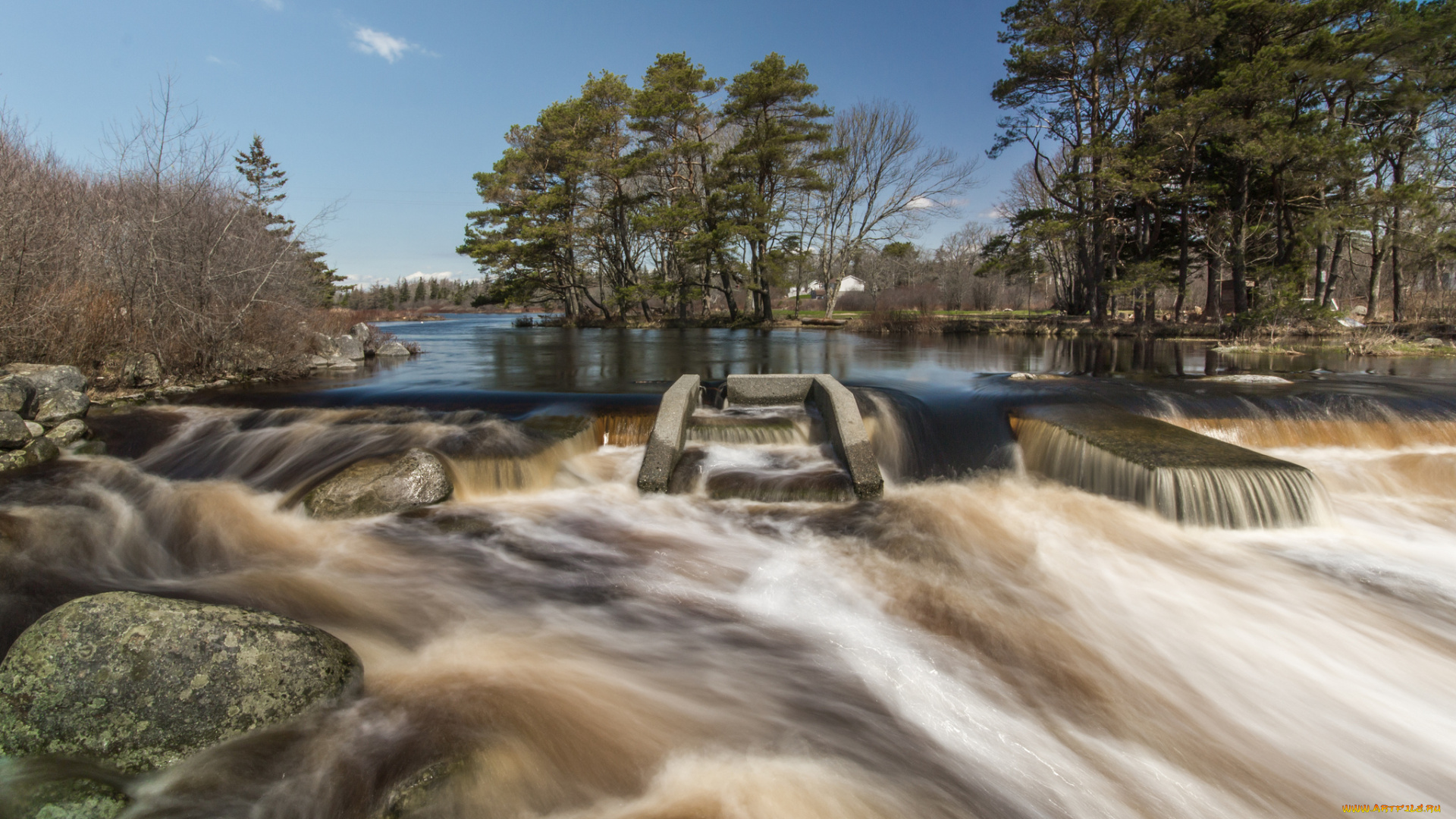 природа, реки, озера, лес, реа, поток