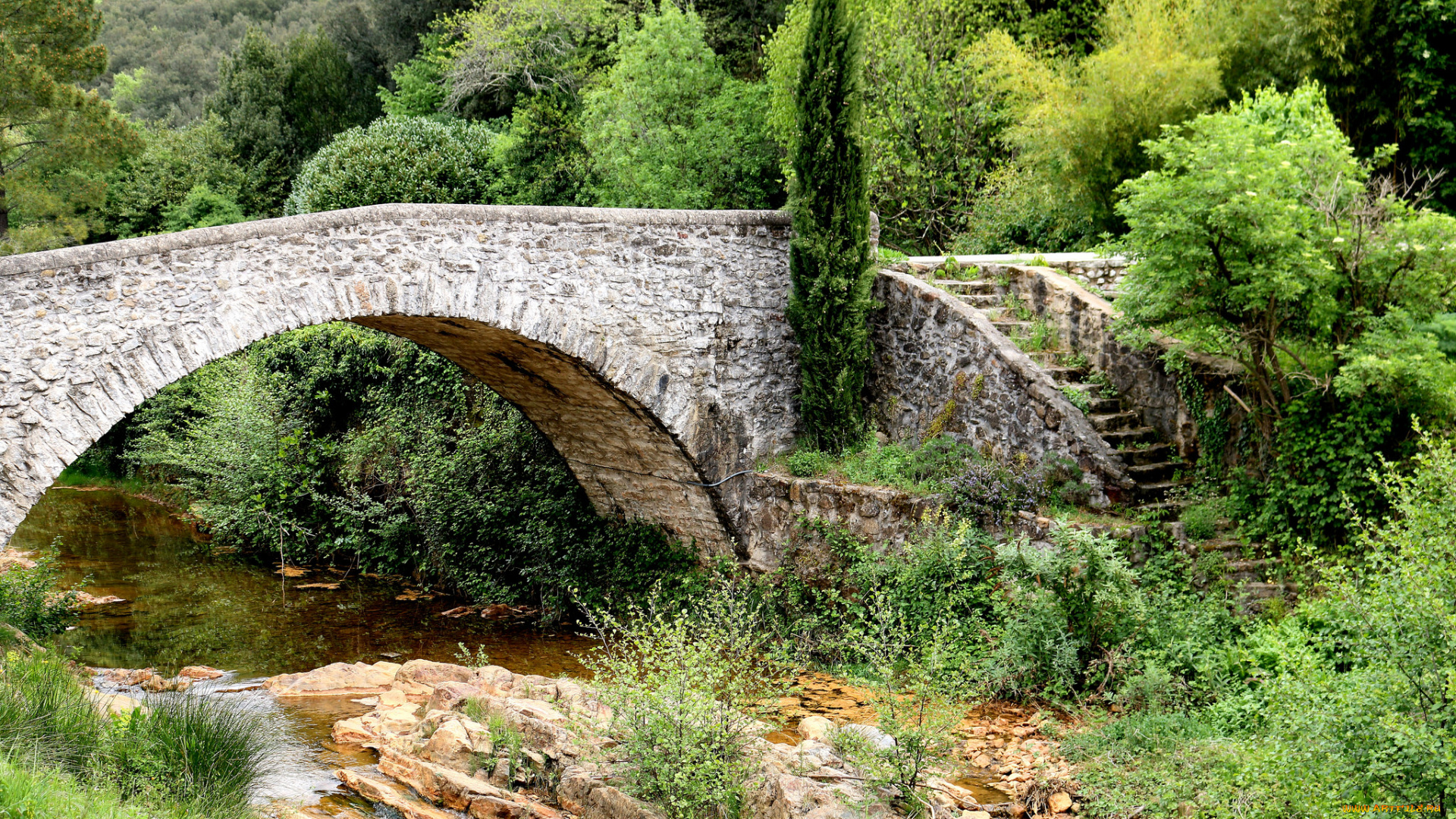 природа, реки, озера, лес, река, мост, арка