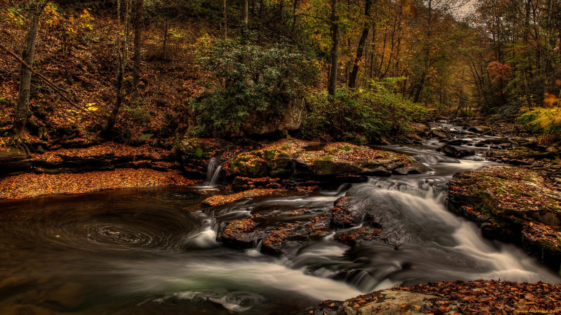природа, реки, озера, река, лес, водопад