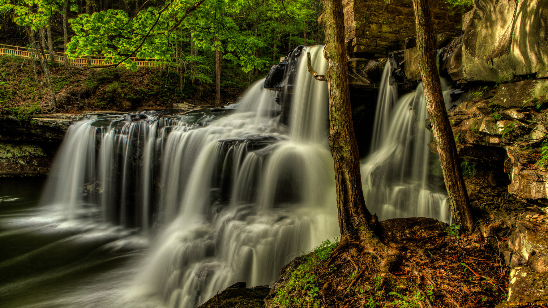 природа, водопады, лес, река, водопад