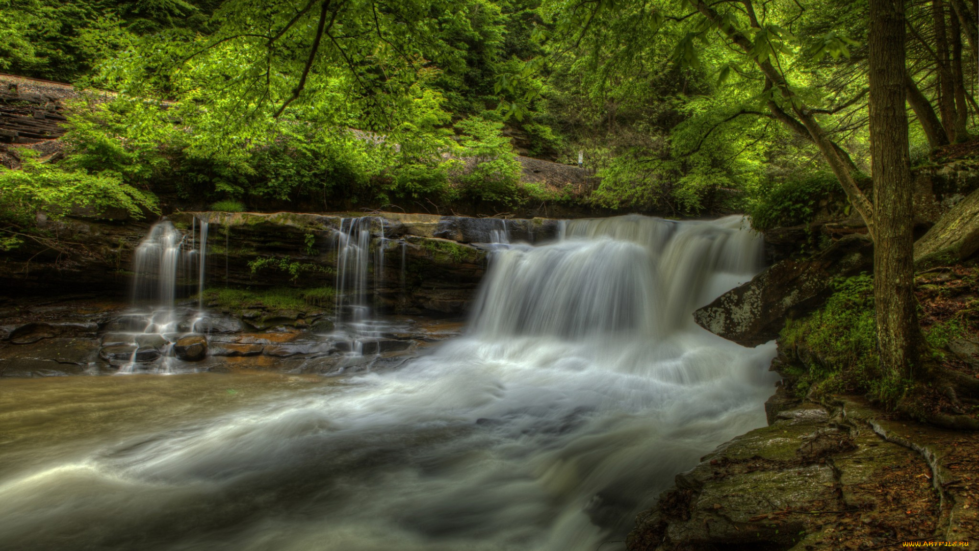 природа, водопады, лес, водопад, река