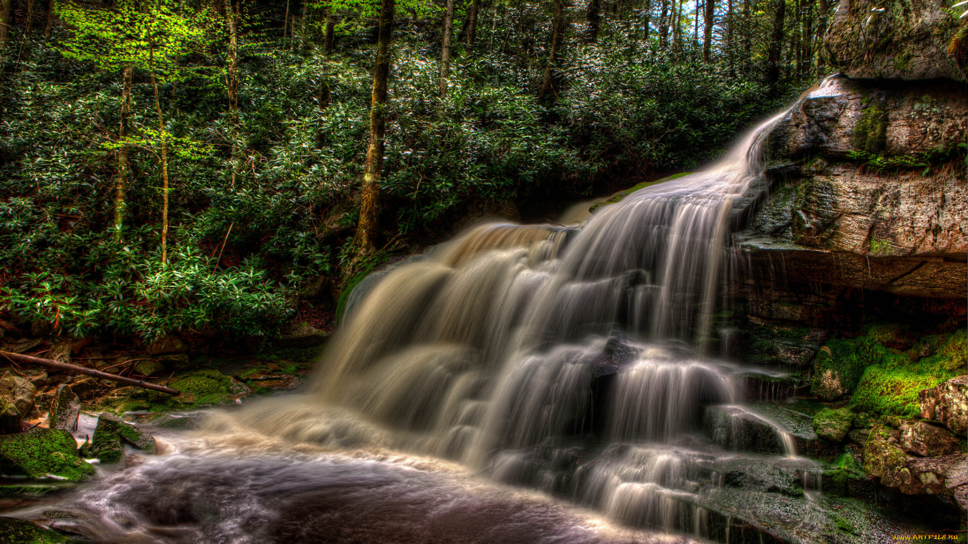 природа, водопады, водопад, лес, река