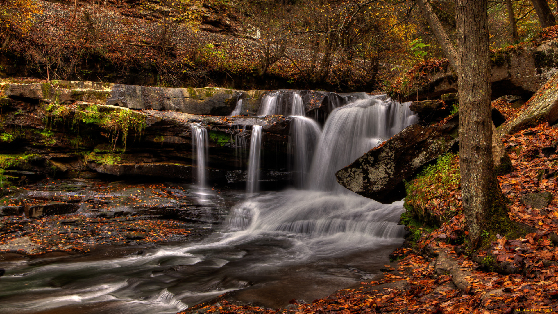 природа, водопады, водопад, река, лес