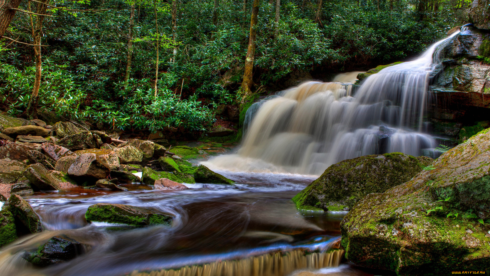 природа, водопады, водопад, река, лес