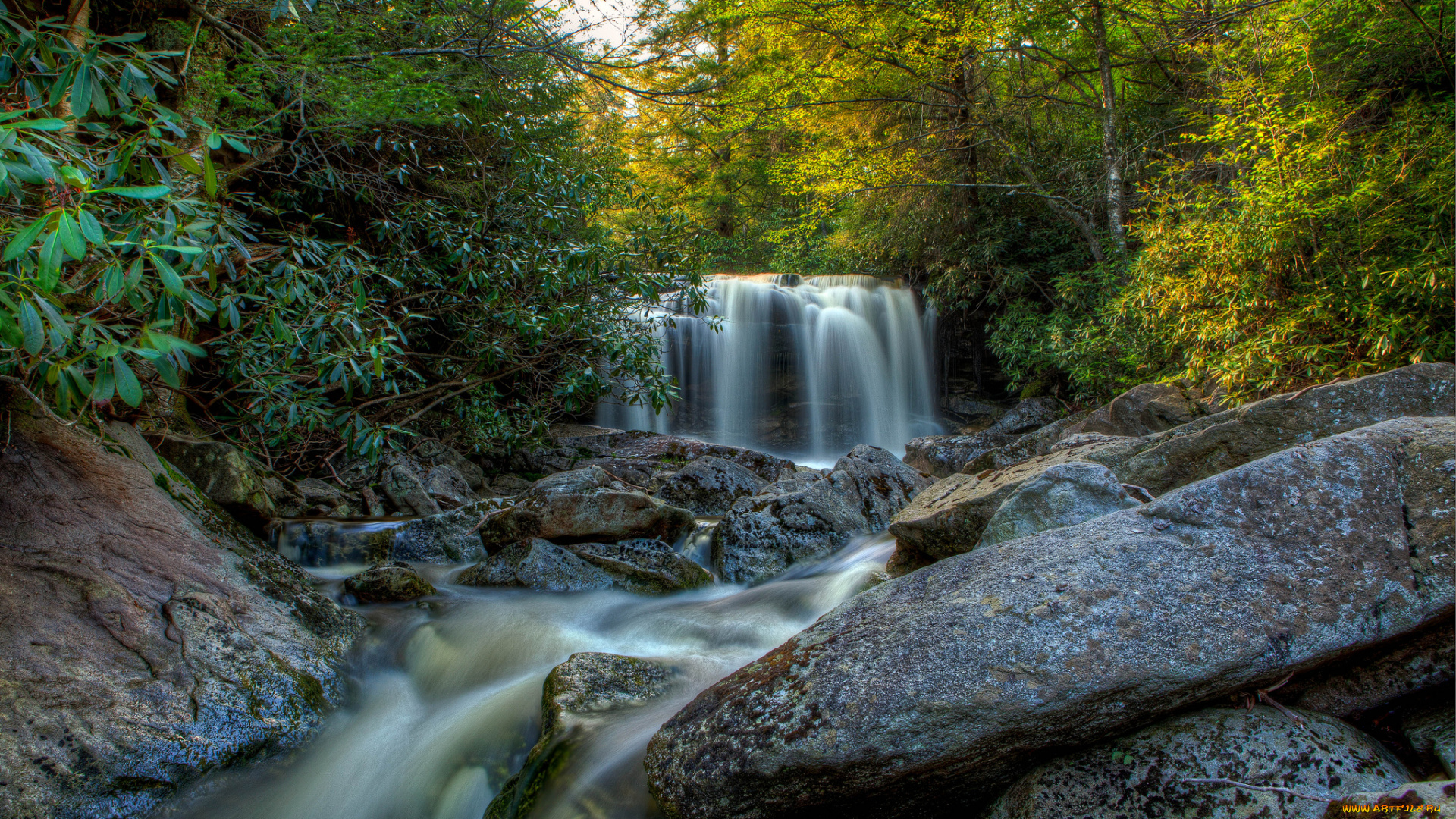 природа, водопады, водопад, река, лес