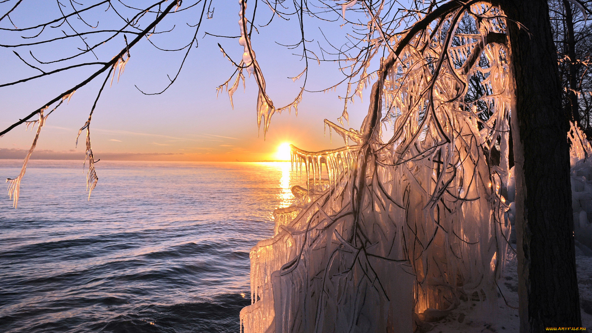 природа, восходы, закаты, солнце, море, сосульки, лед, дерево