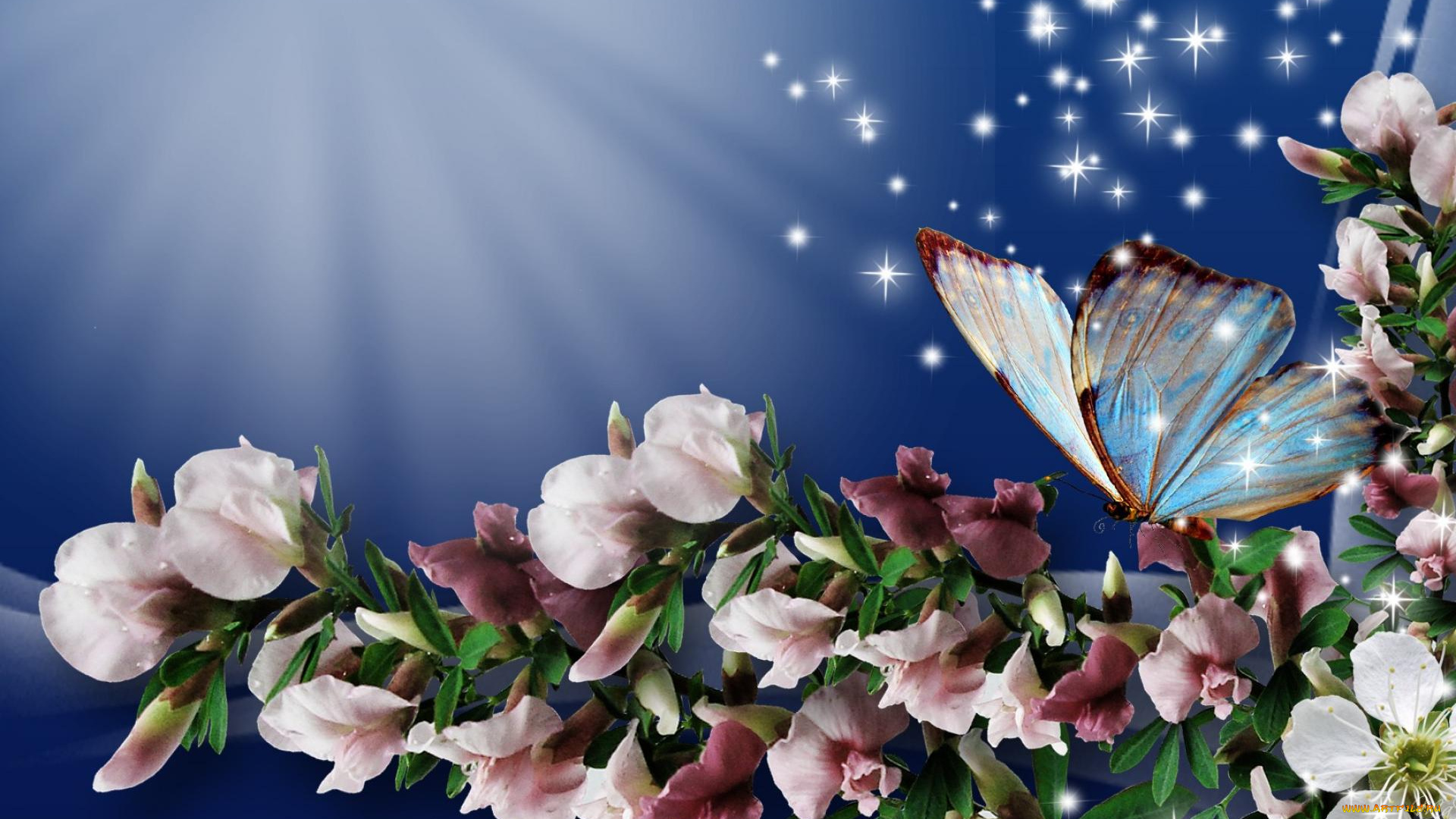 разное, компьютерный, дизайн, ветка, цветы, листья, бабочки