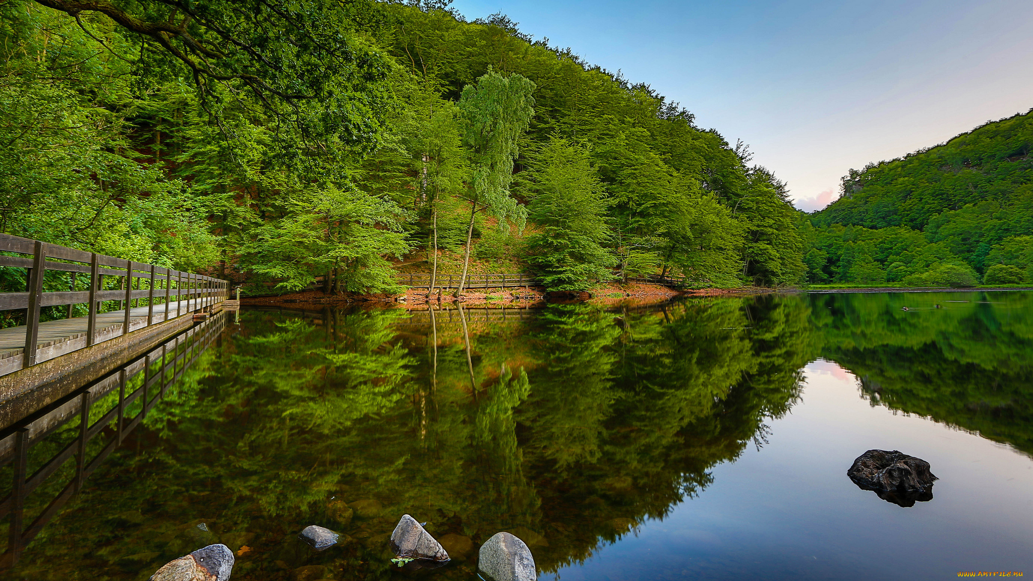 природа, реки, озера, лес, озеро, мостик, лето