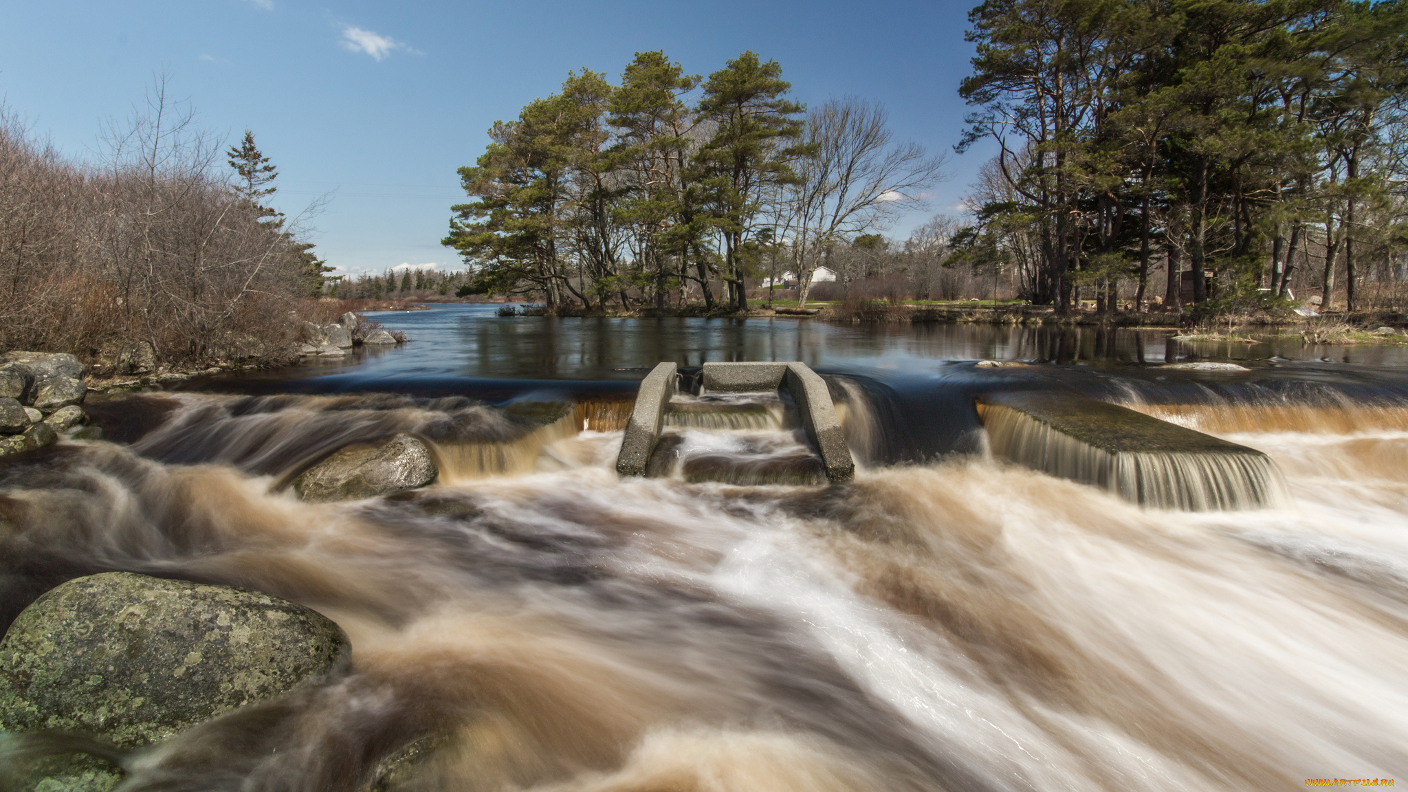 природа, реки, озера, лес, реа, поток