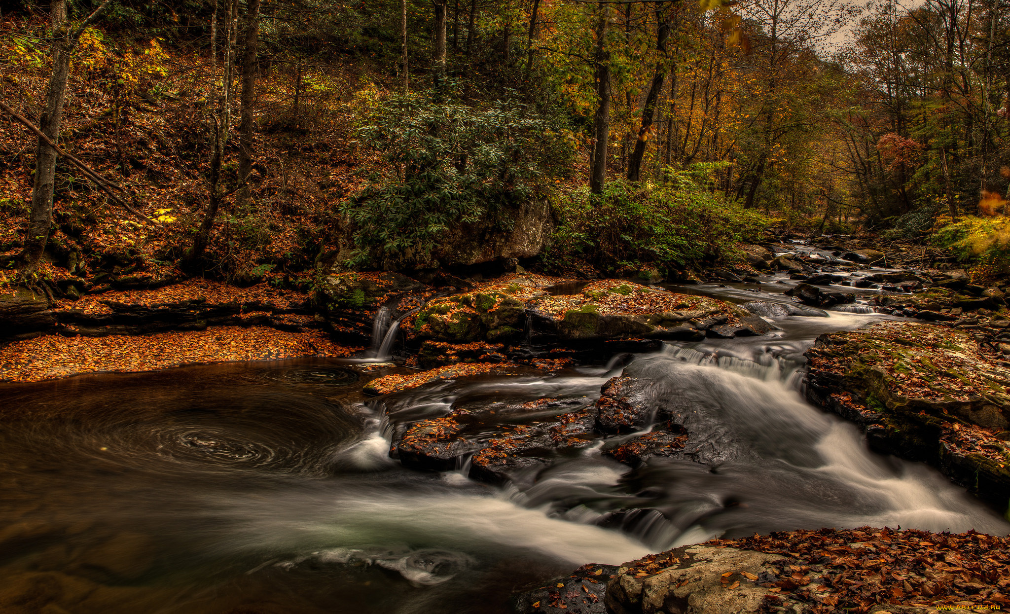 природа, реки, озера, река, лес, водопад