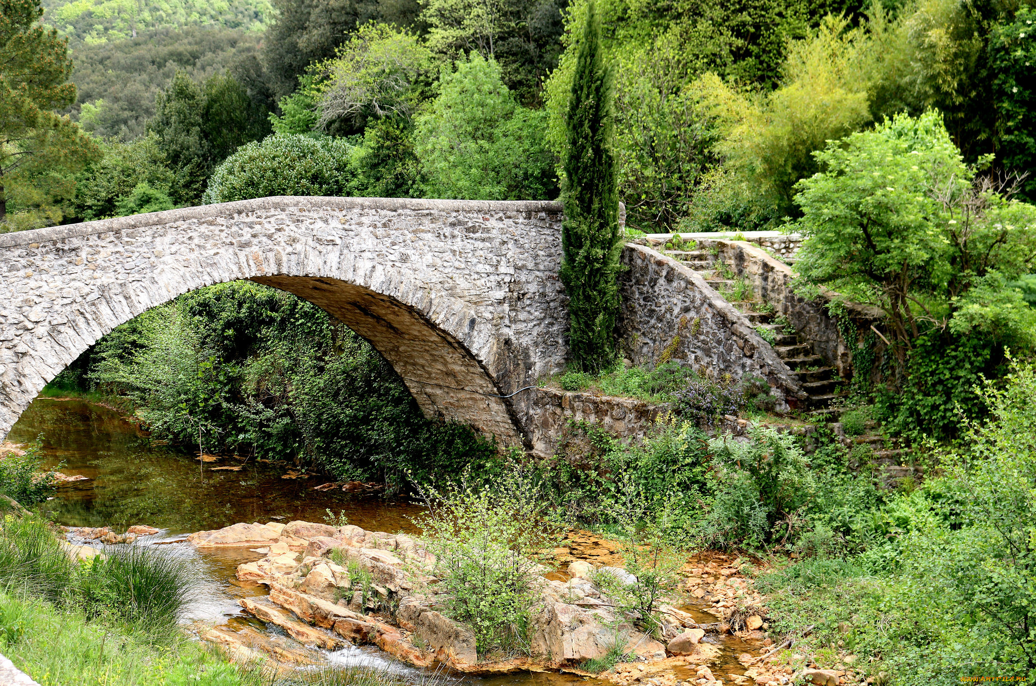 природа, реки, озера, лес, река, мост, арка