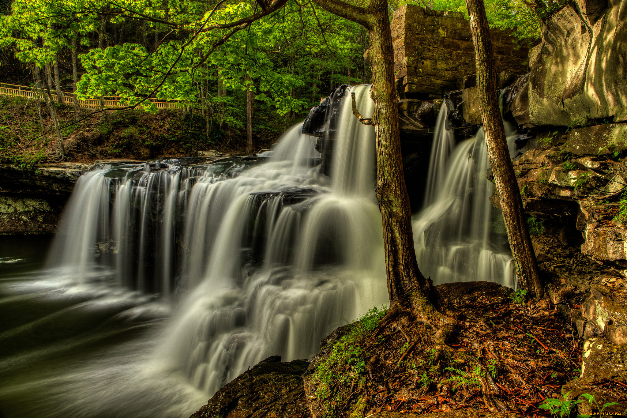 природа, водопады, лес, река, водопад